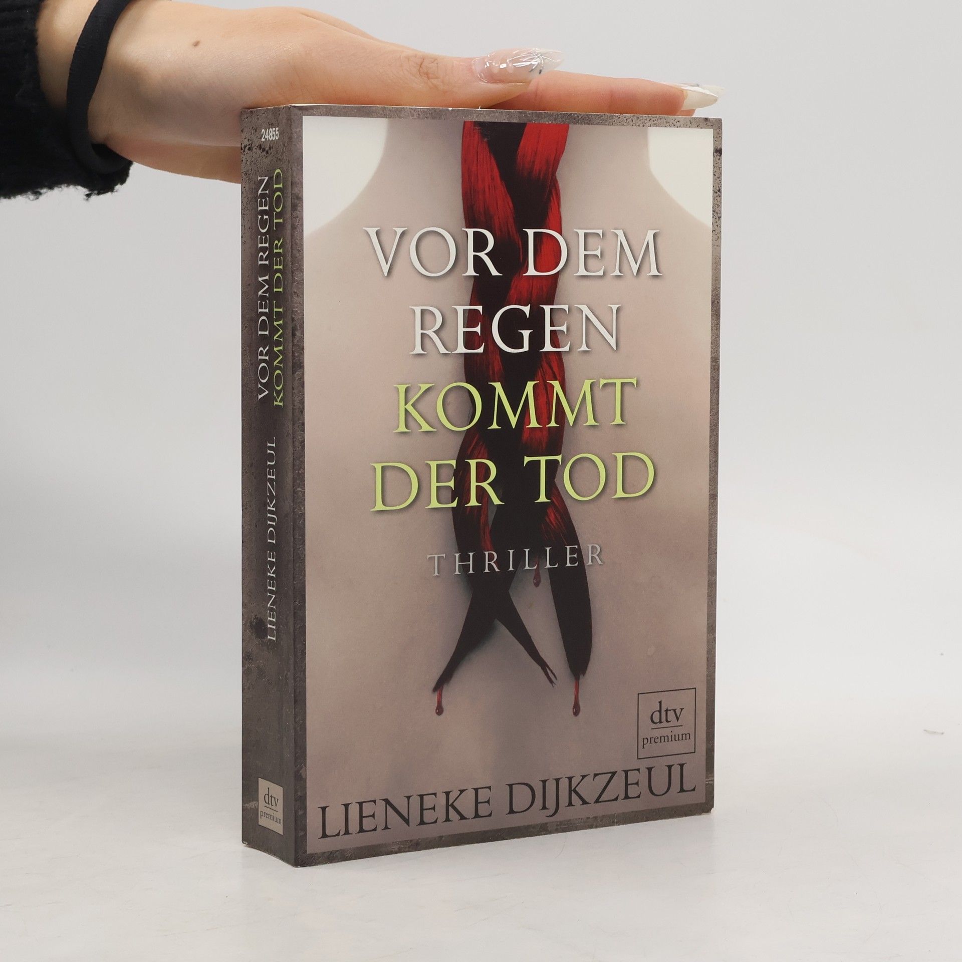 Lieneke Dijkzeul Vor dem Regen kommt der Tod