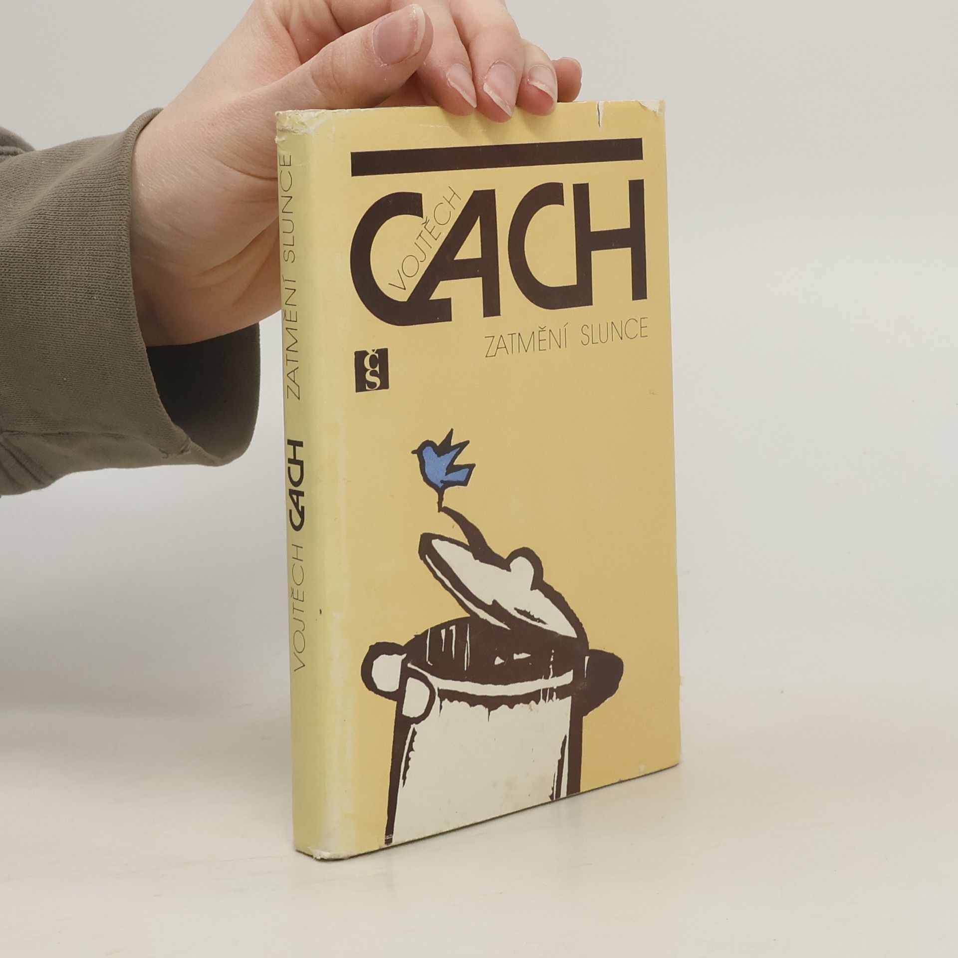 Vojtěch Cach Zatmění slunce