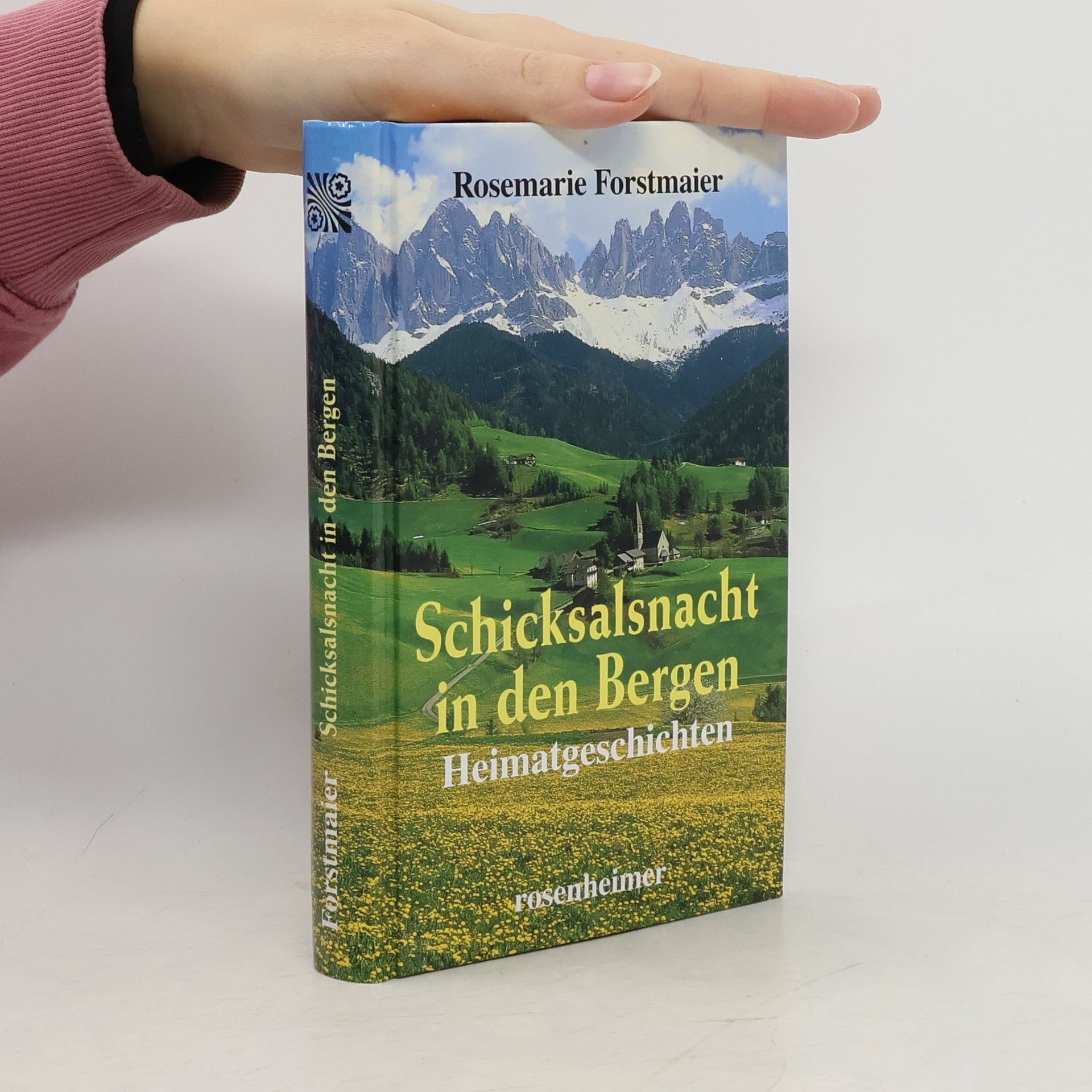 Rosemarie Forstmaier Schicksalsnacht in den Bergen