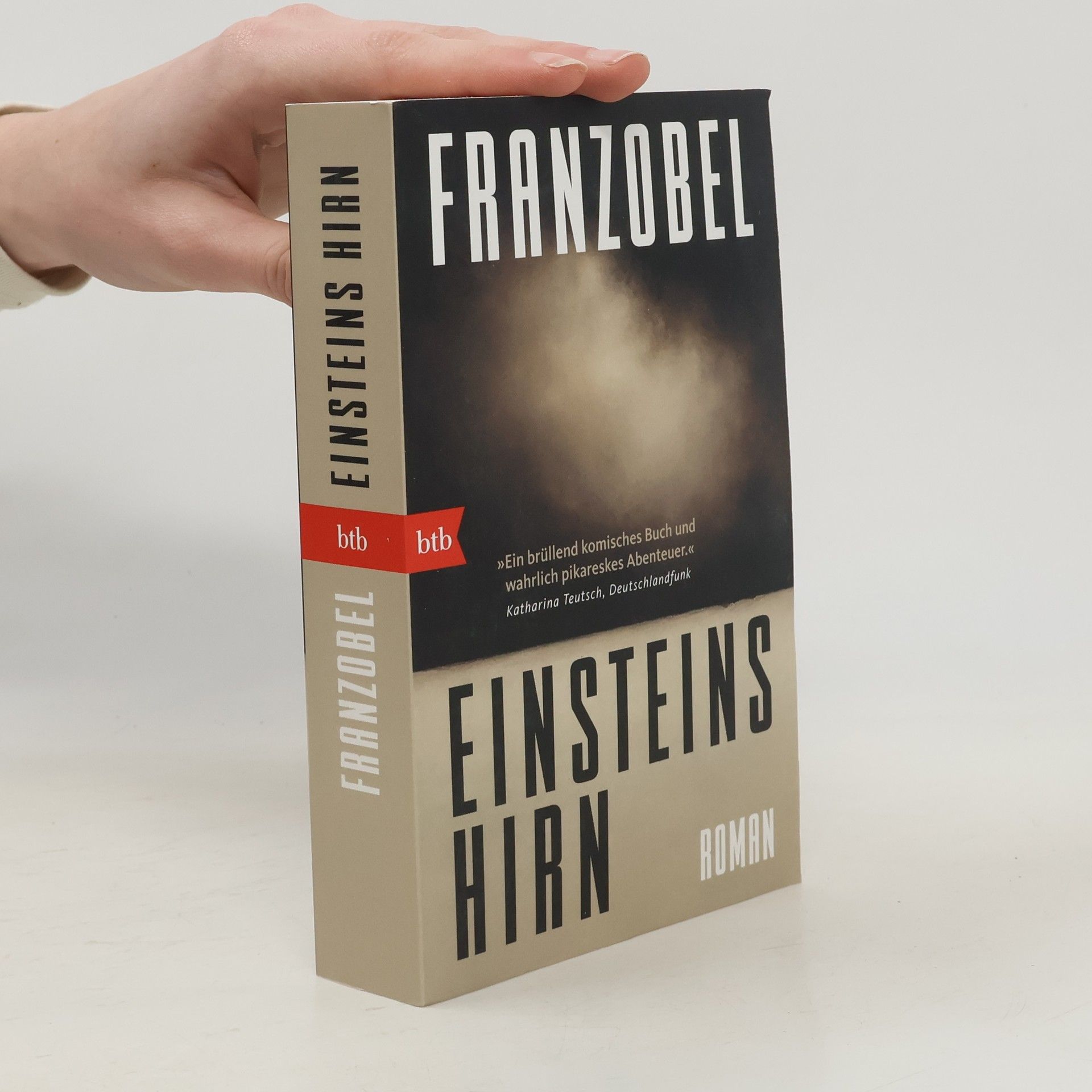 Franzobel Einsteins Hirn