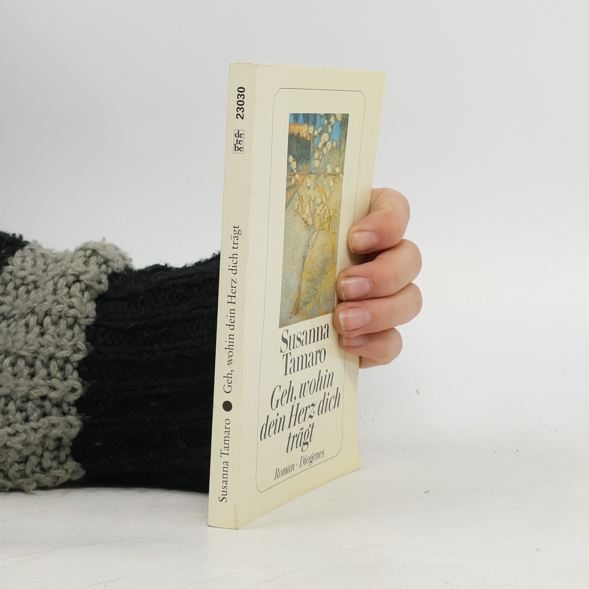 Susanna Tamaro Geh, wohin dein Herz dich trägt