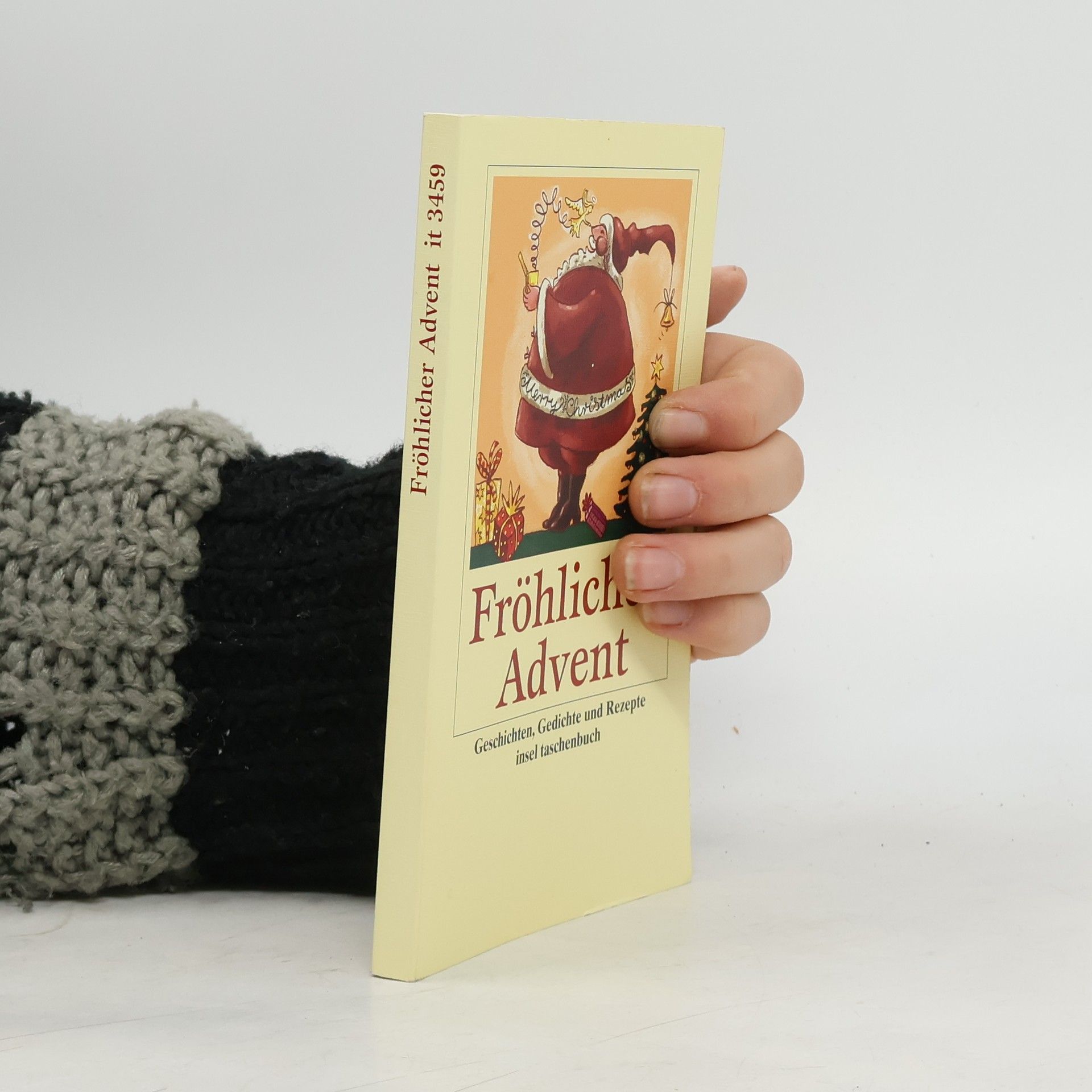 Gesine Dammel Fröhlicher Advent