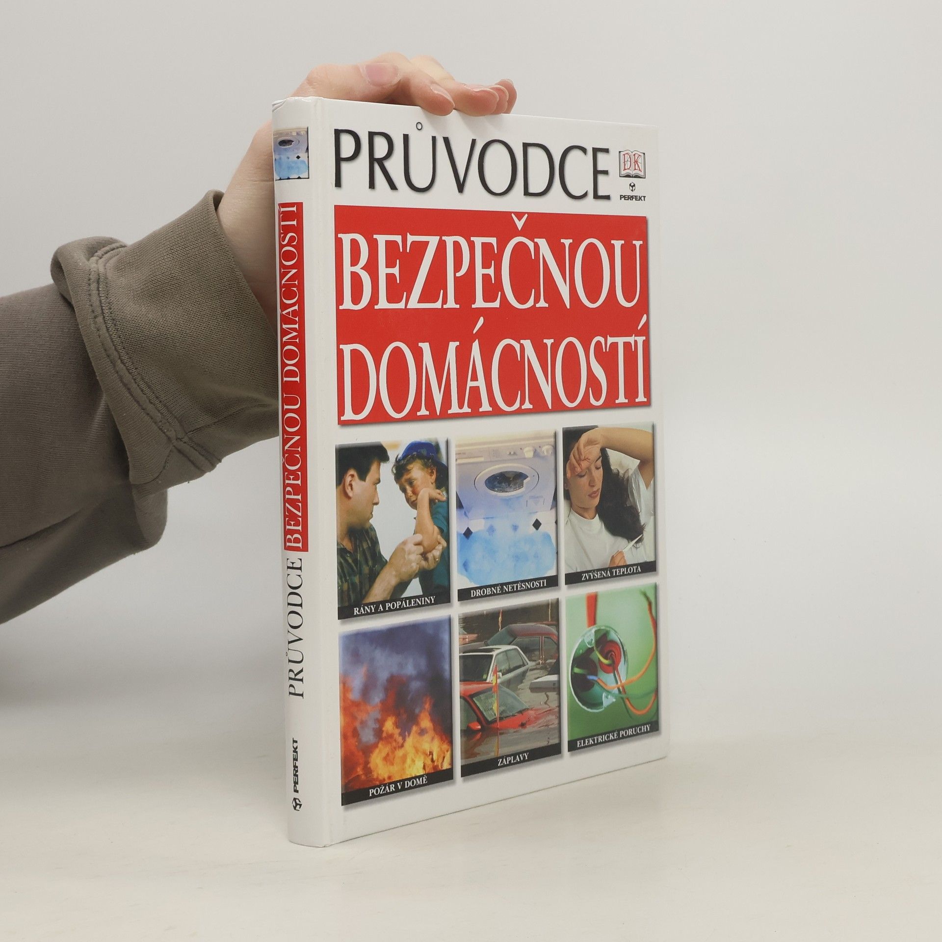 David Ashby Průvodce bezpečnou domácností