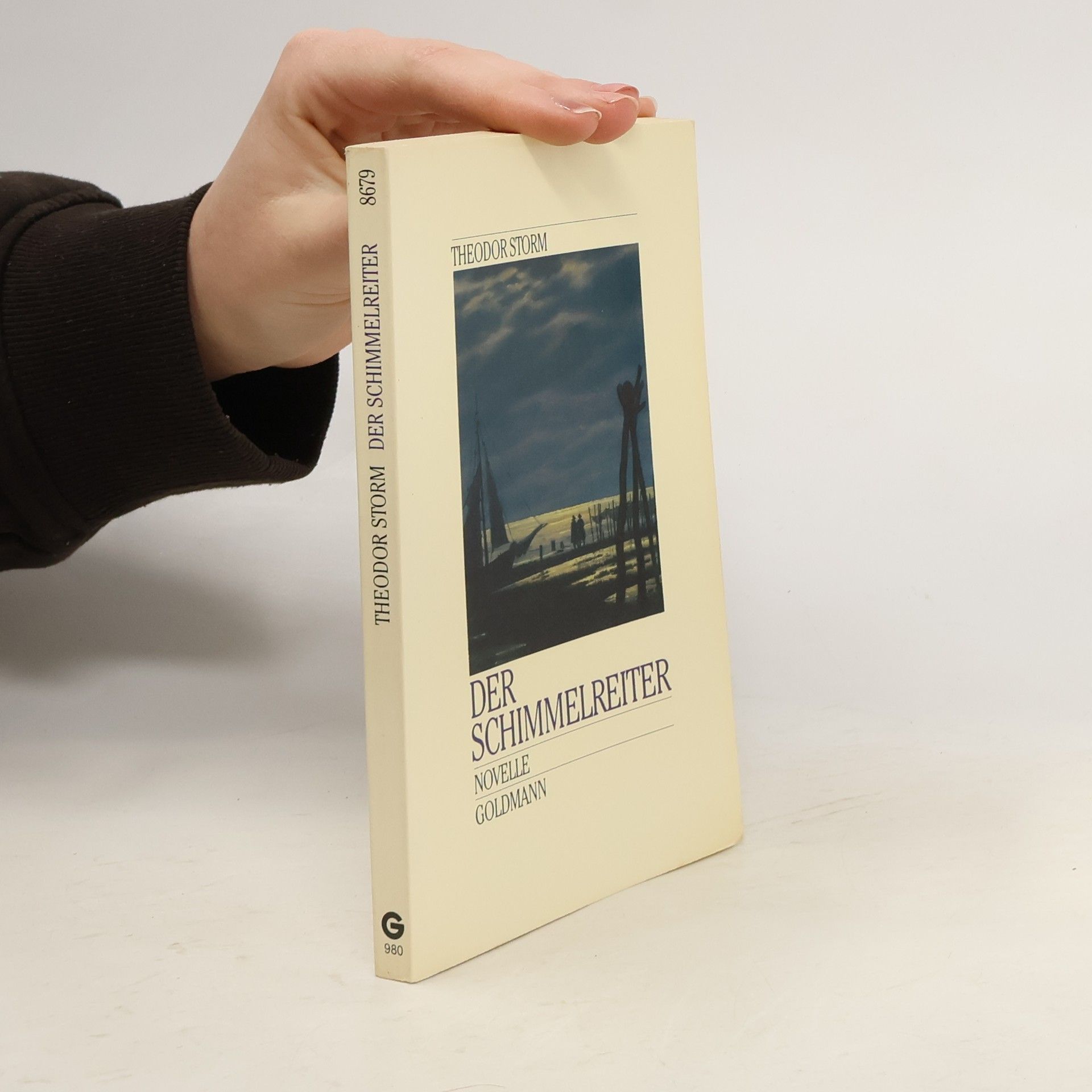 Theodor Storm Der Schimmelreiter