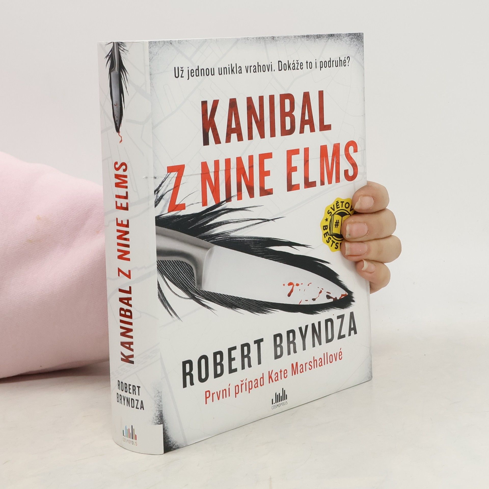 Robert Bryndza Kanibal z Nine Elms