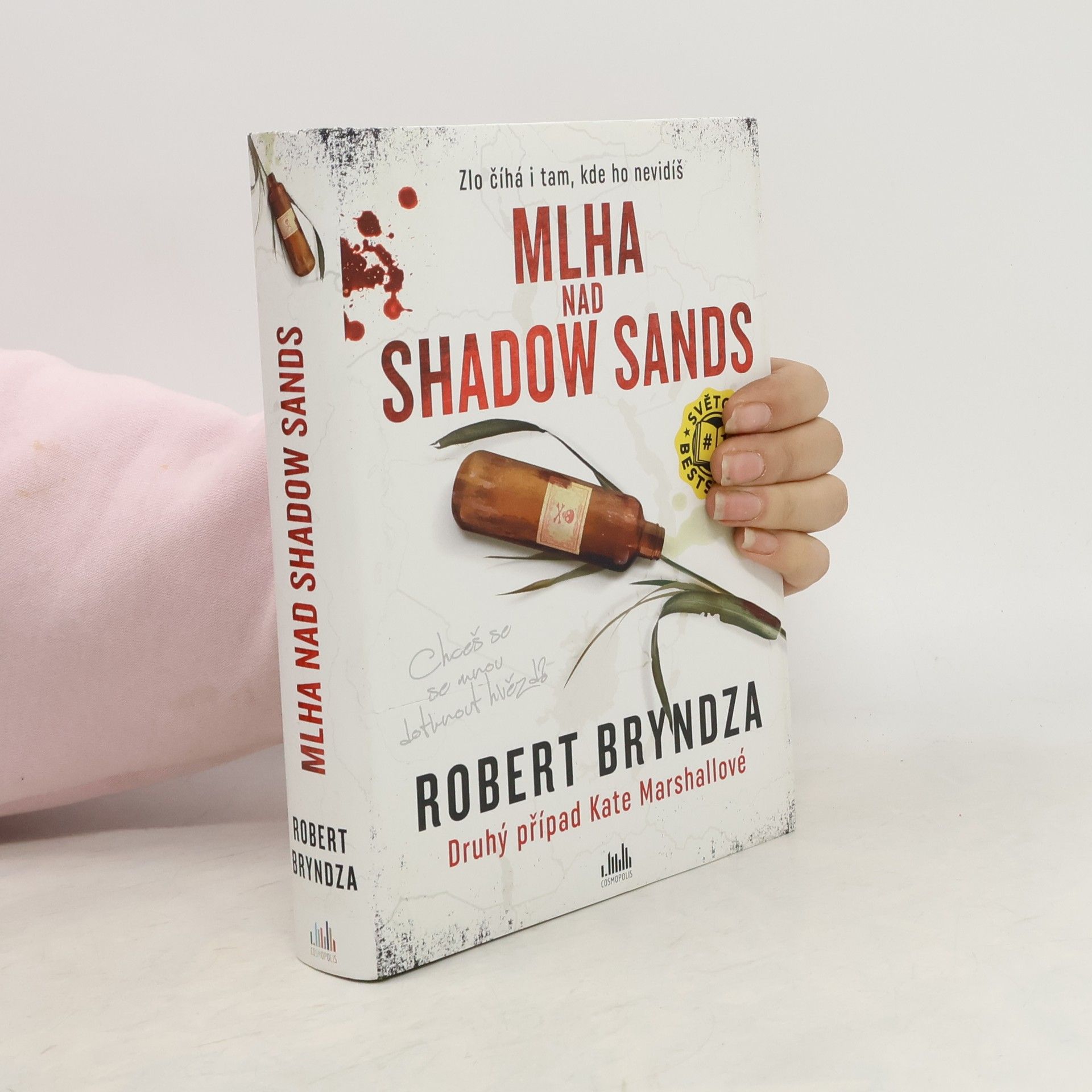 Robert Bryndza Mlha nad Shadow Sands