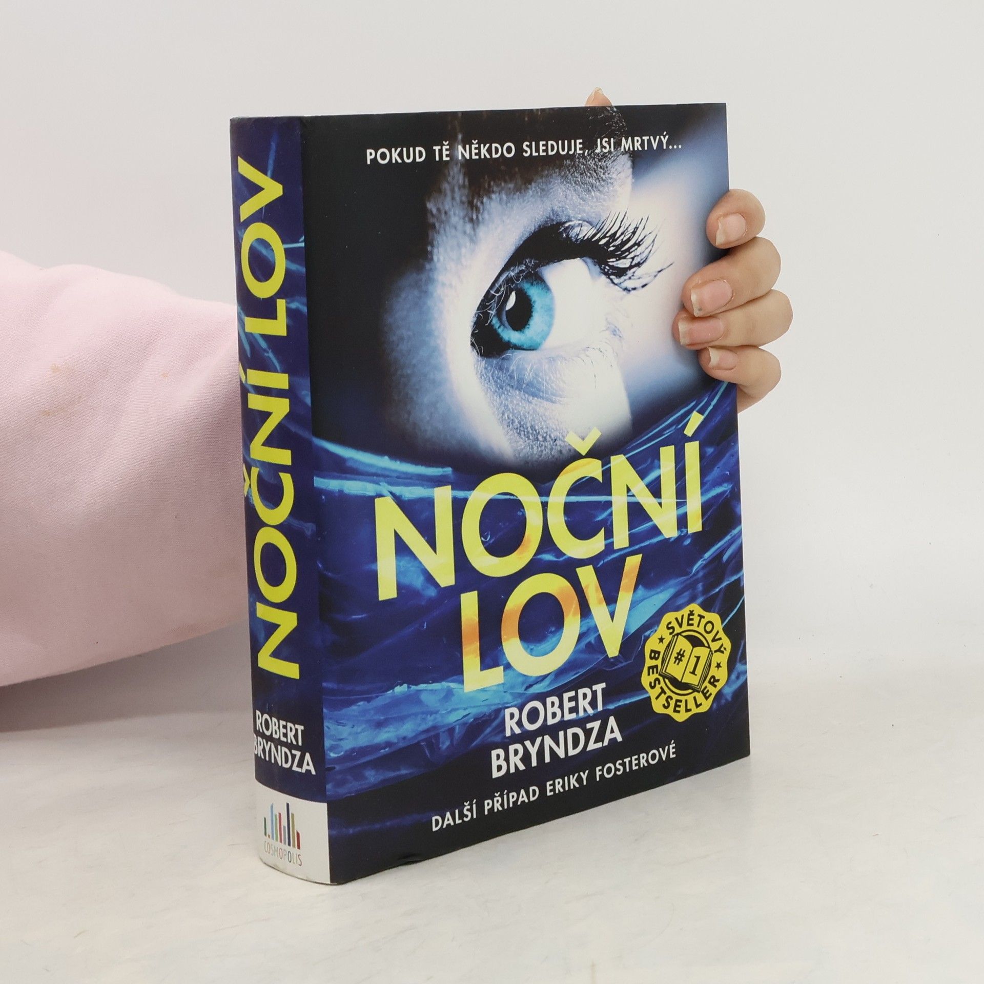 Robert Bryndza Noční lov