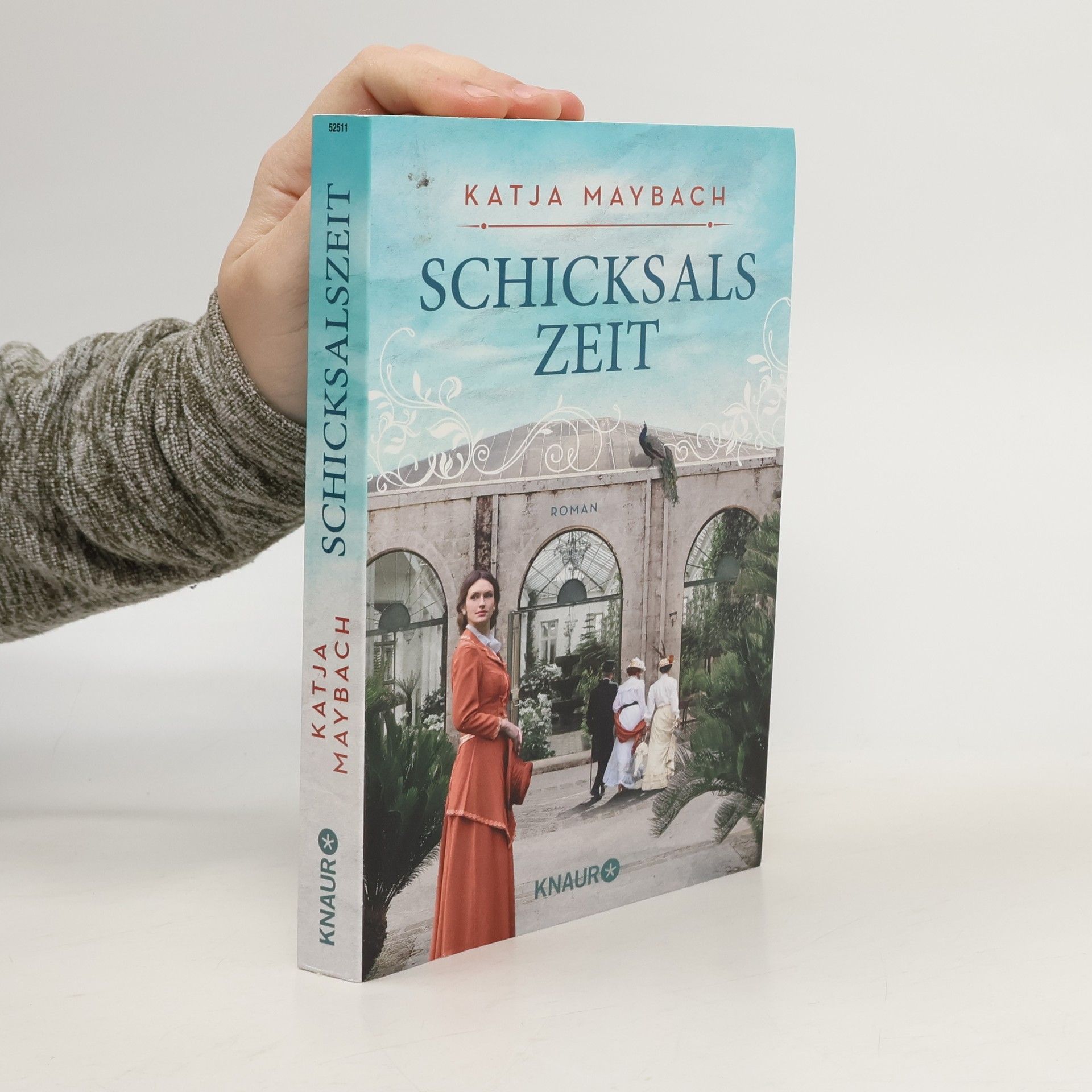 Katja Maybach Schicksalszeit