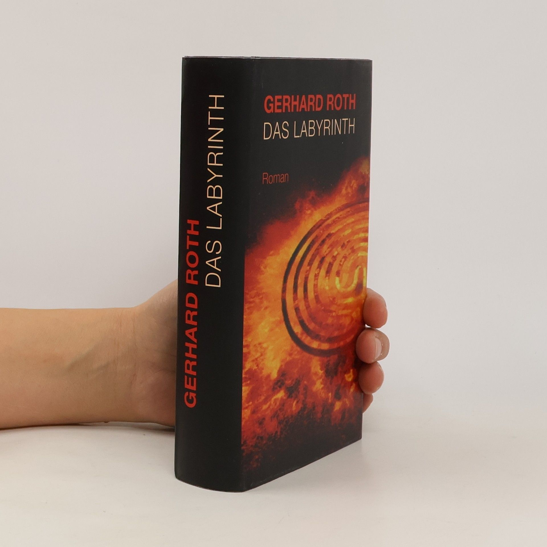 Gerhard Roth Das Labyrinth