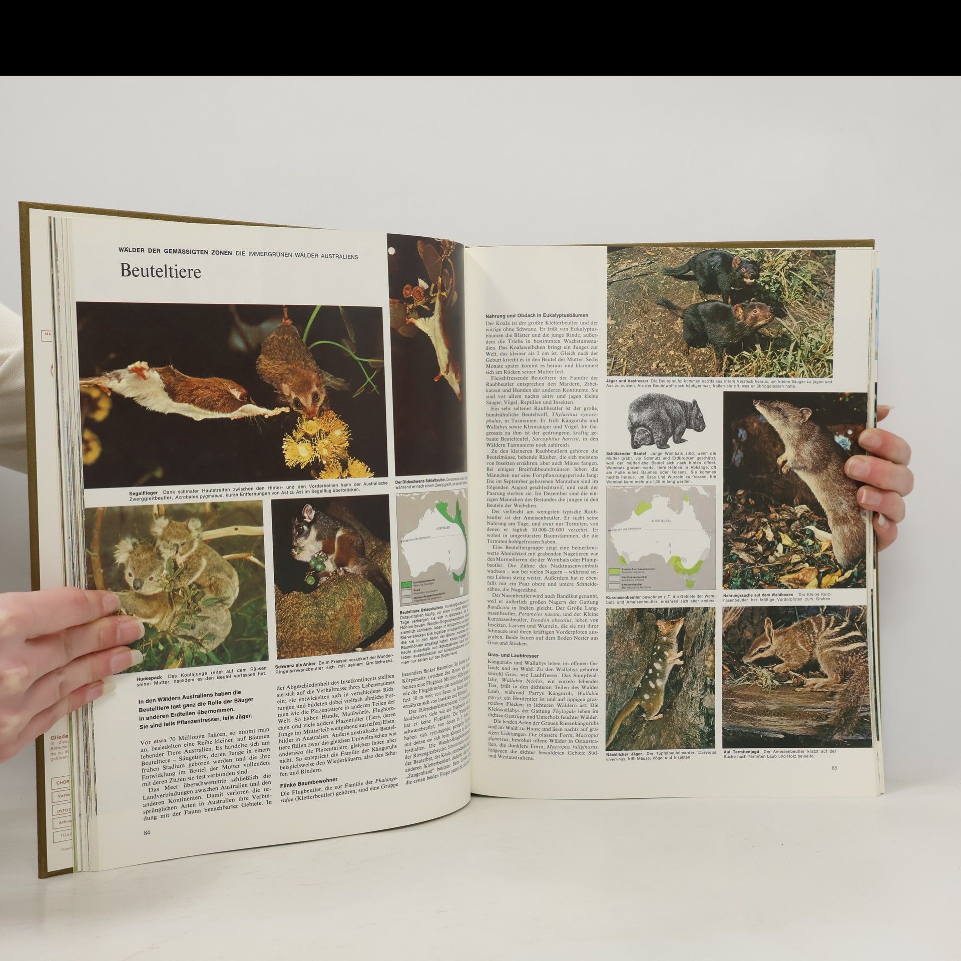 Collectif d'auteurs Reader's Digest Bildatlas der Tierwelt