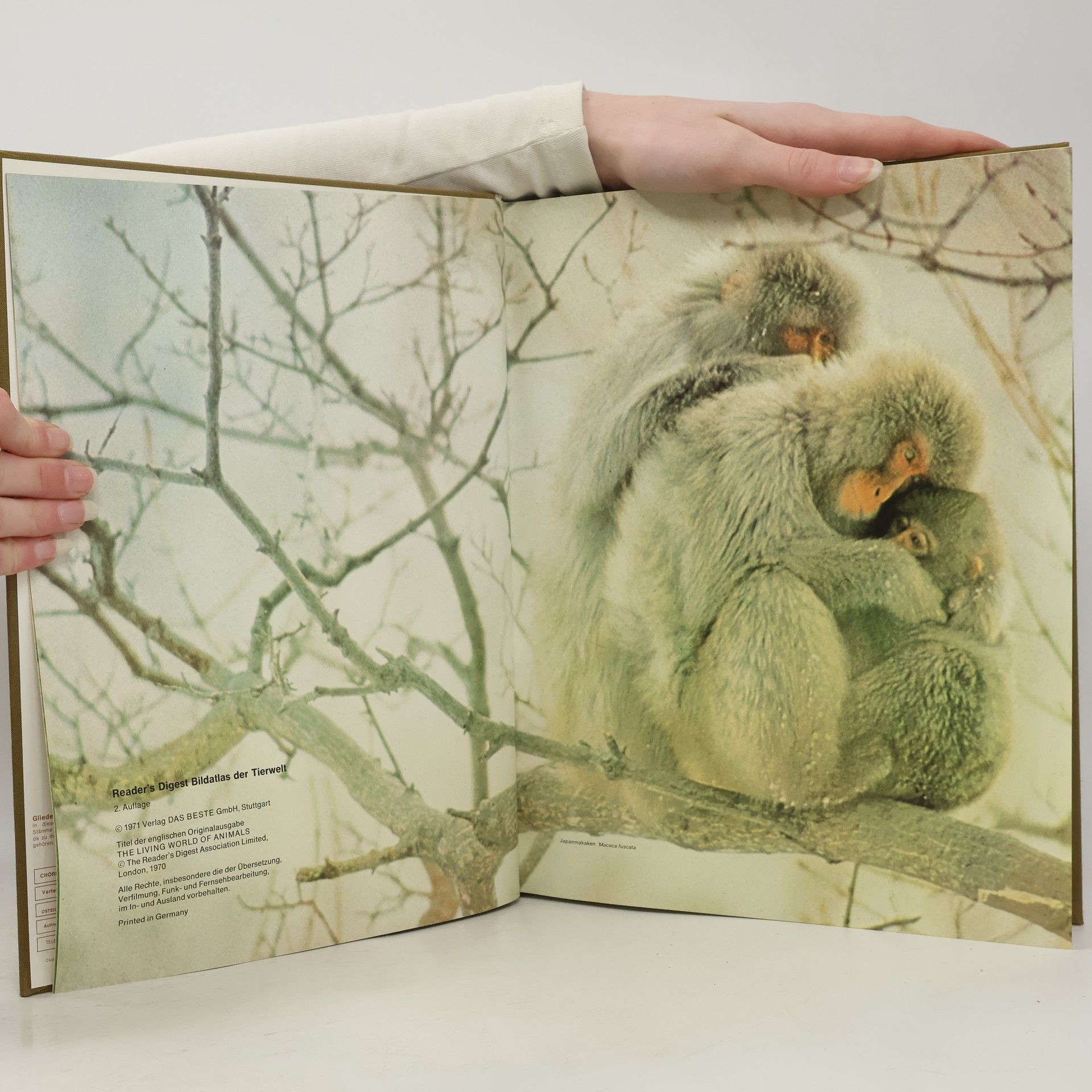 Collectif d'auteurs Reader's Digest Bildatlas der Tierwelt