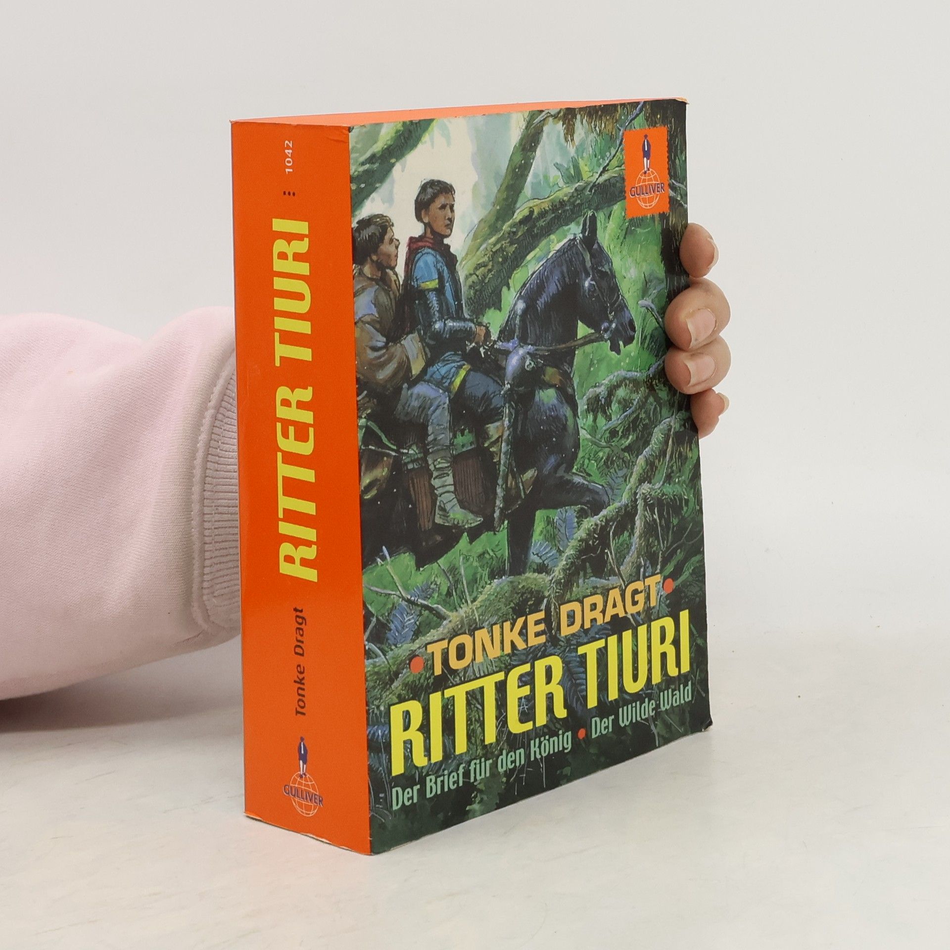 Tonke Dragt Ritter Tiuri