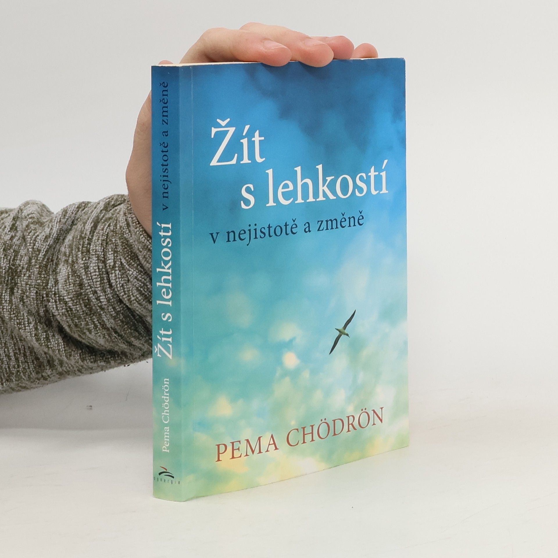 Pema Chödrön Žít s lehkostí