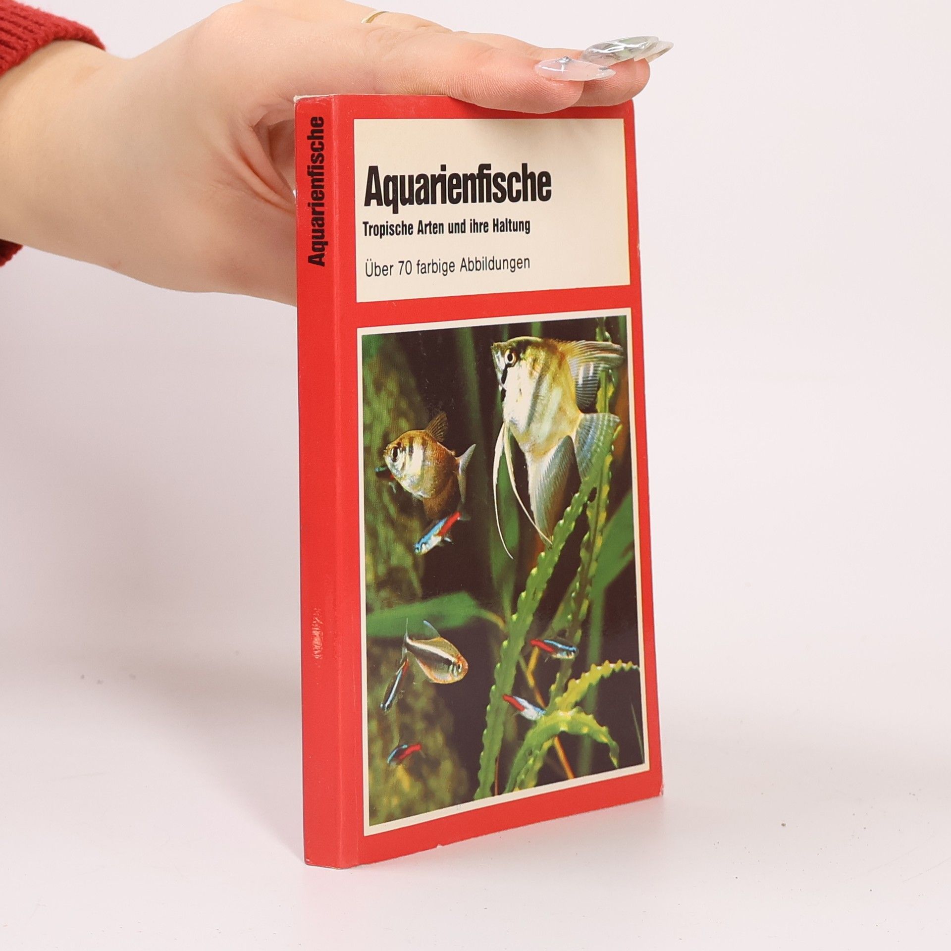 Neil Wainwright Aquarienfische