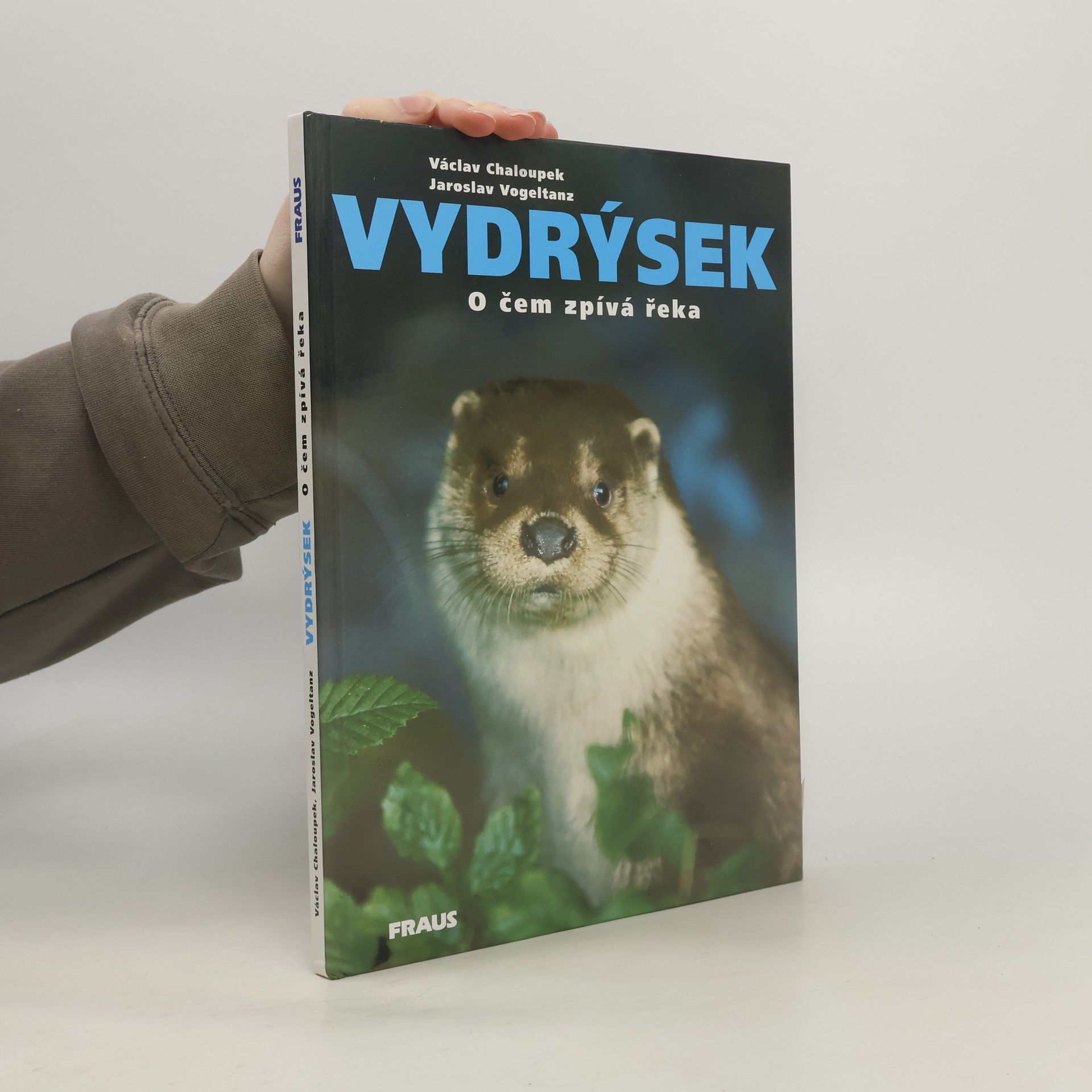 Jaroslav Vogeltanz Vydrýsek. O čem zpívá řeka