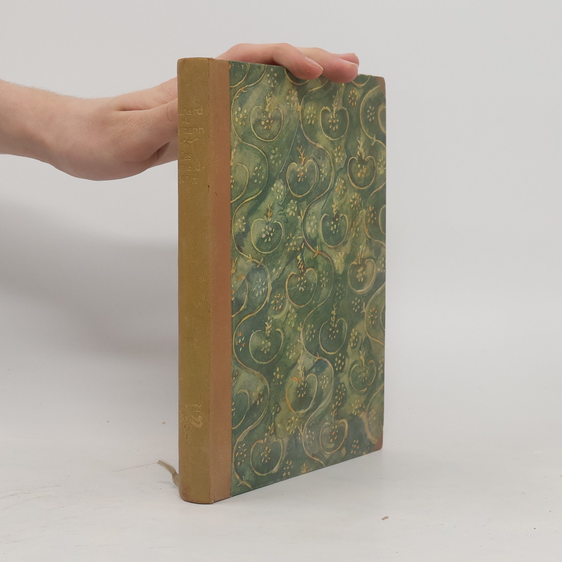 Richard A. Bermann Das Urwaldschiff