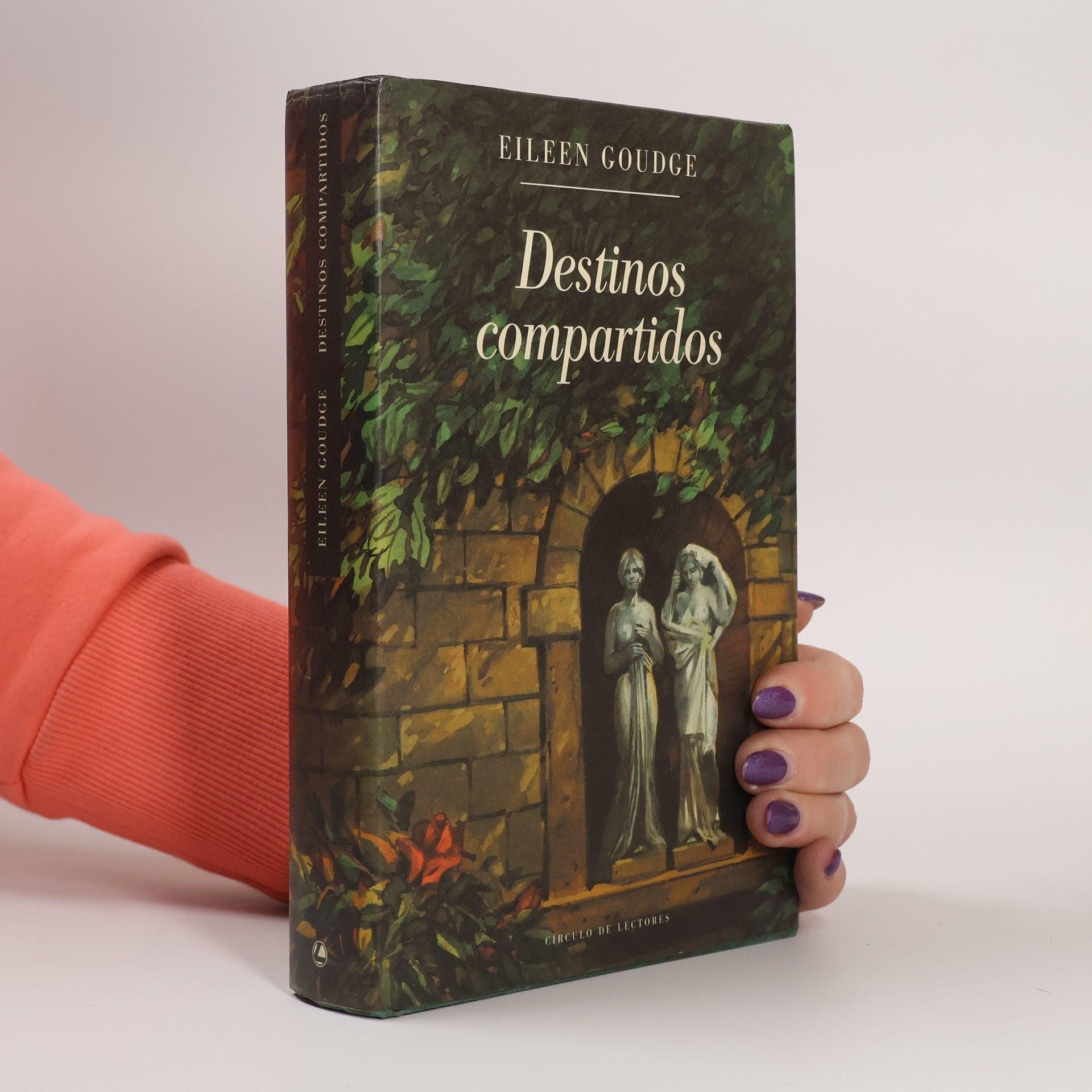 Eileen Goudge Destinos compartidos