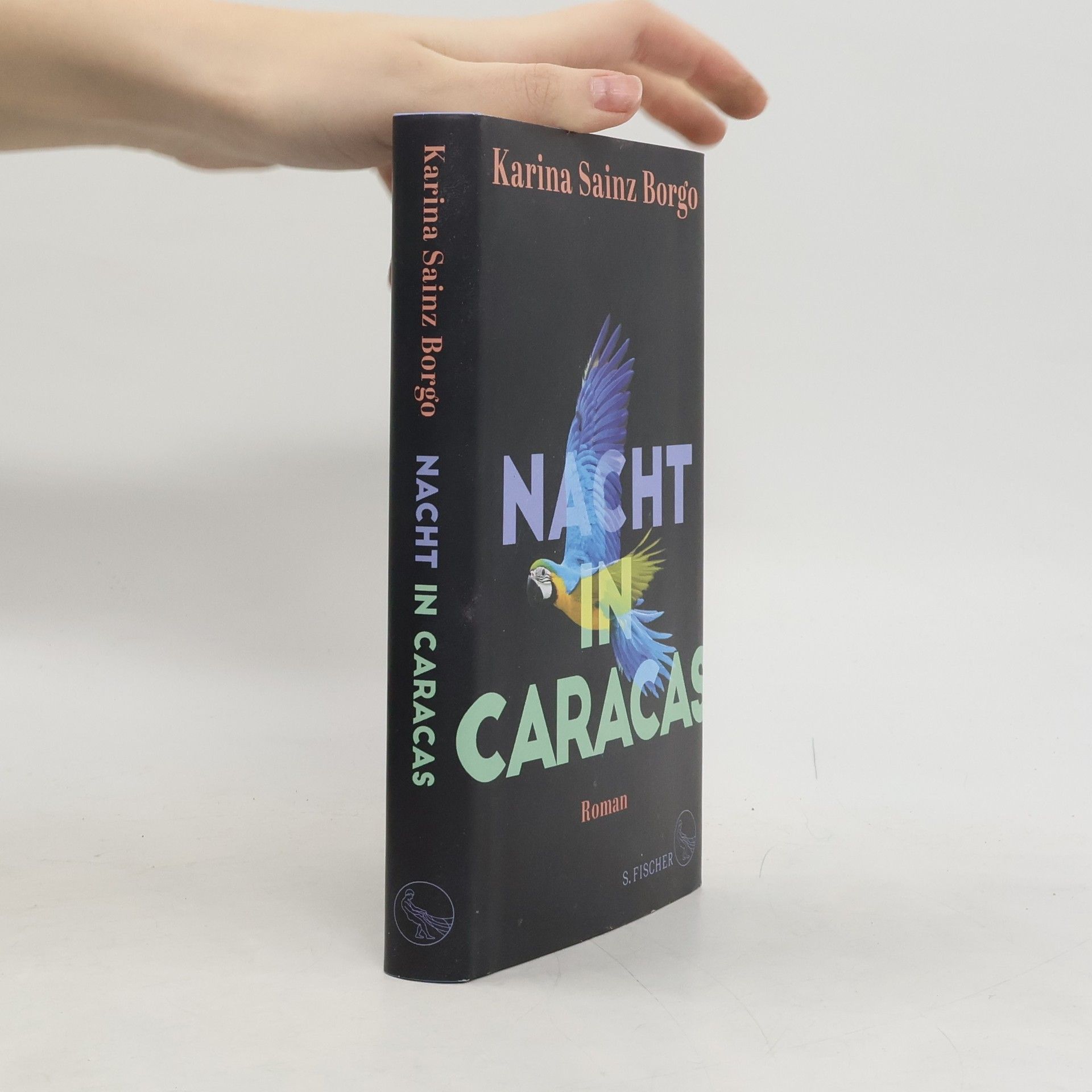 Karina Sainz Borgo Nacht in Caracas