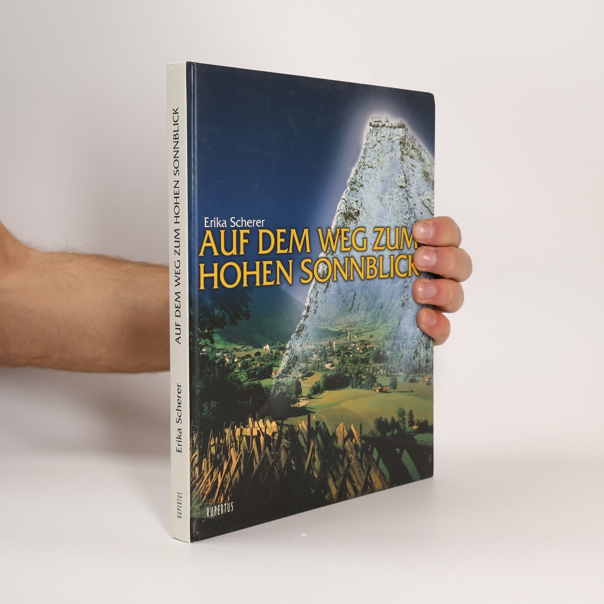 Erika Scherer Auf dem Weg zum Hohen Sonnblick