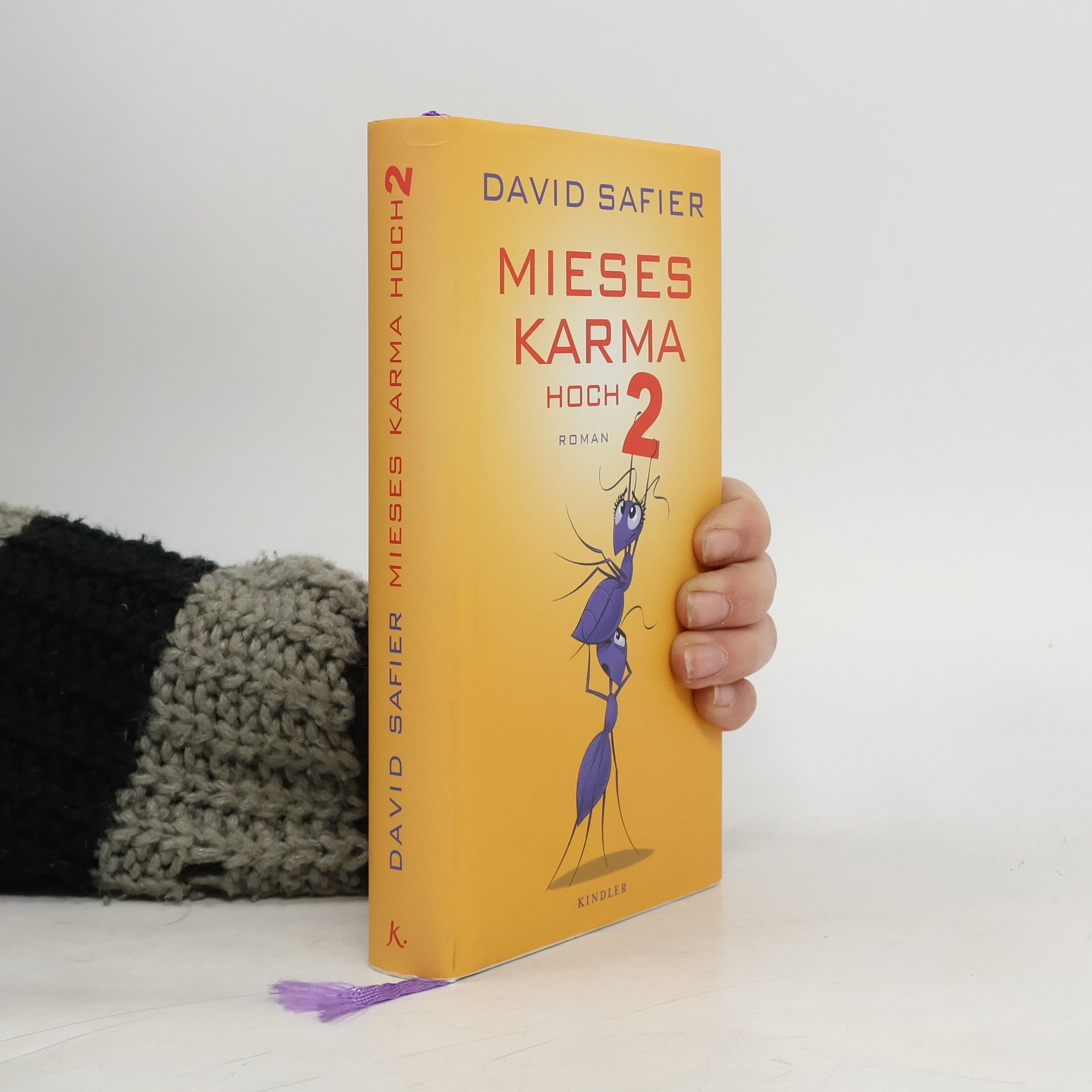 David Safier Mieses Karma hoch 2