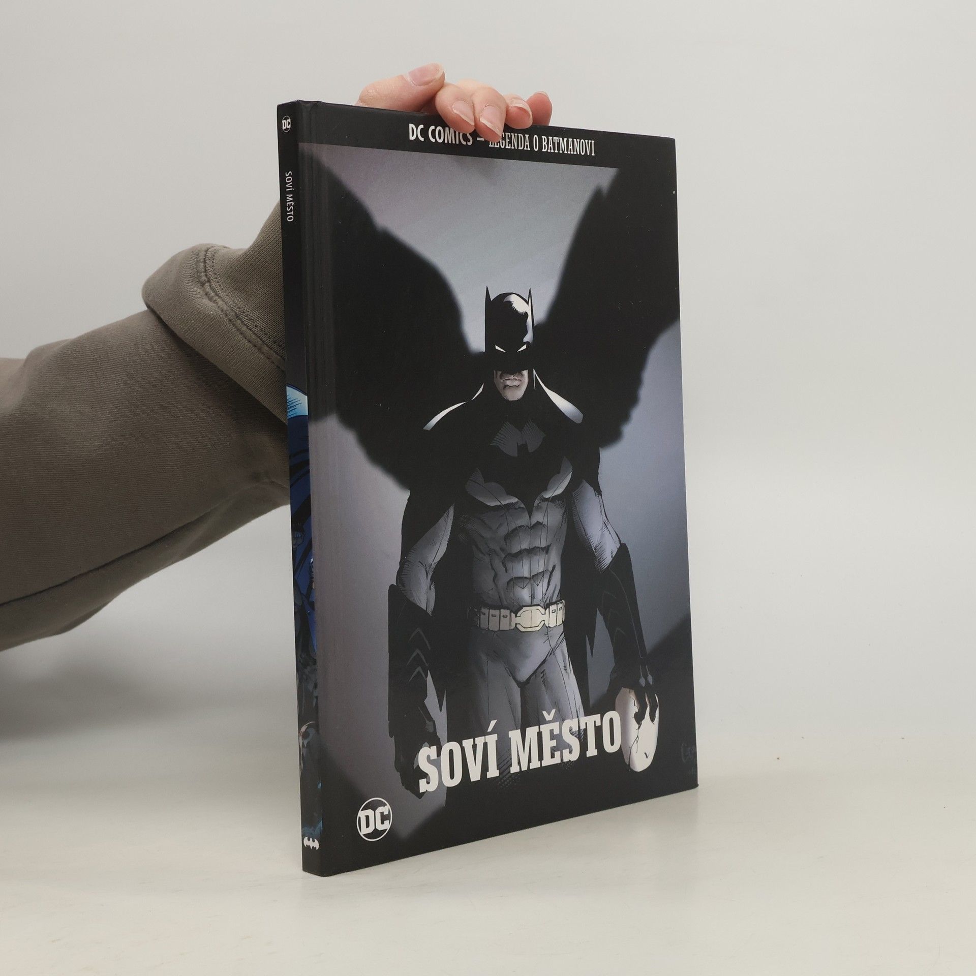 Autorenkollektiv Soví město