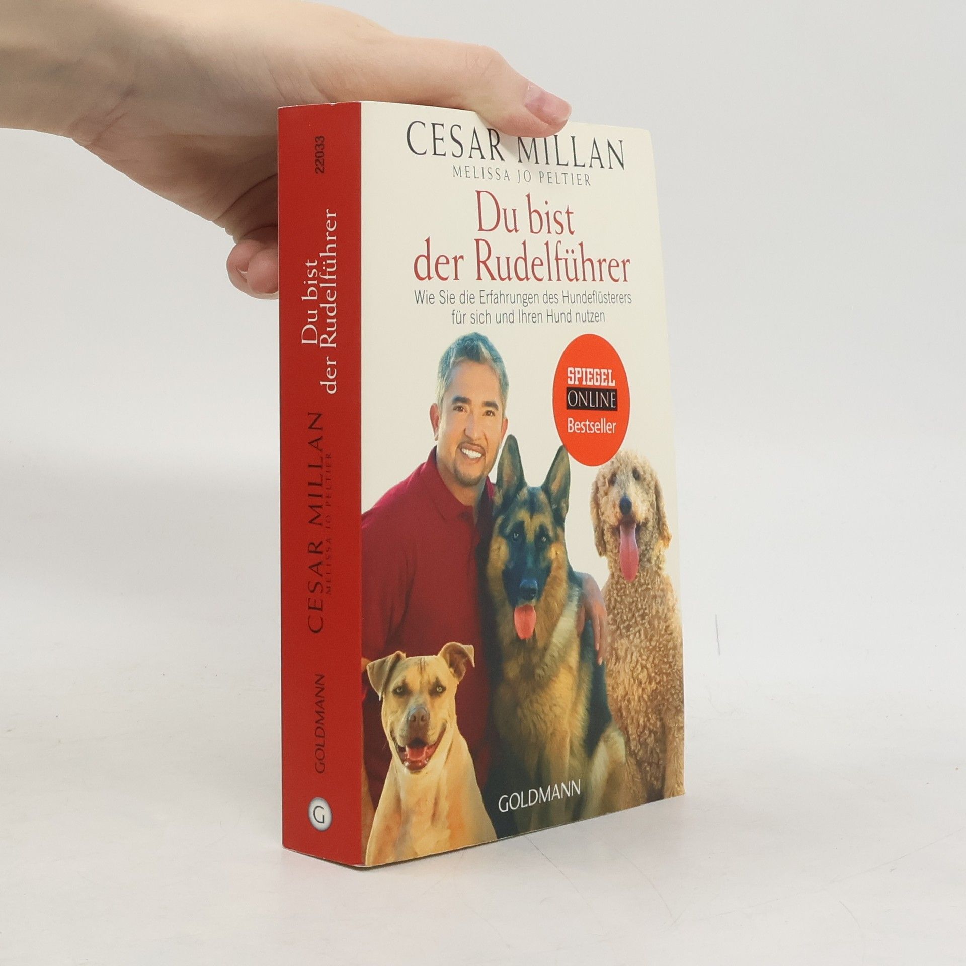 Cesar Millan Du bist der Rudelführer