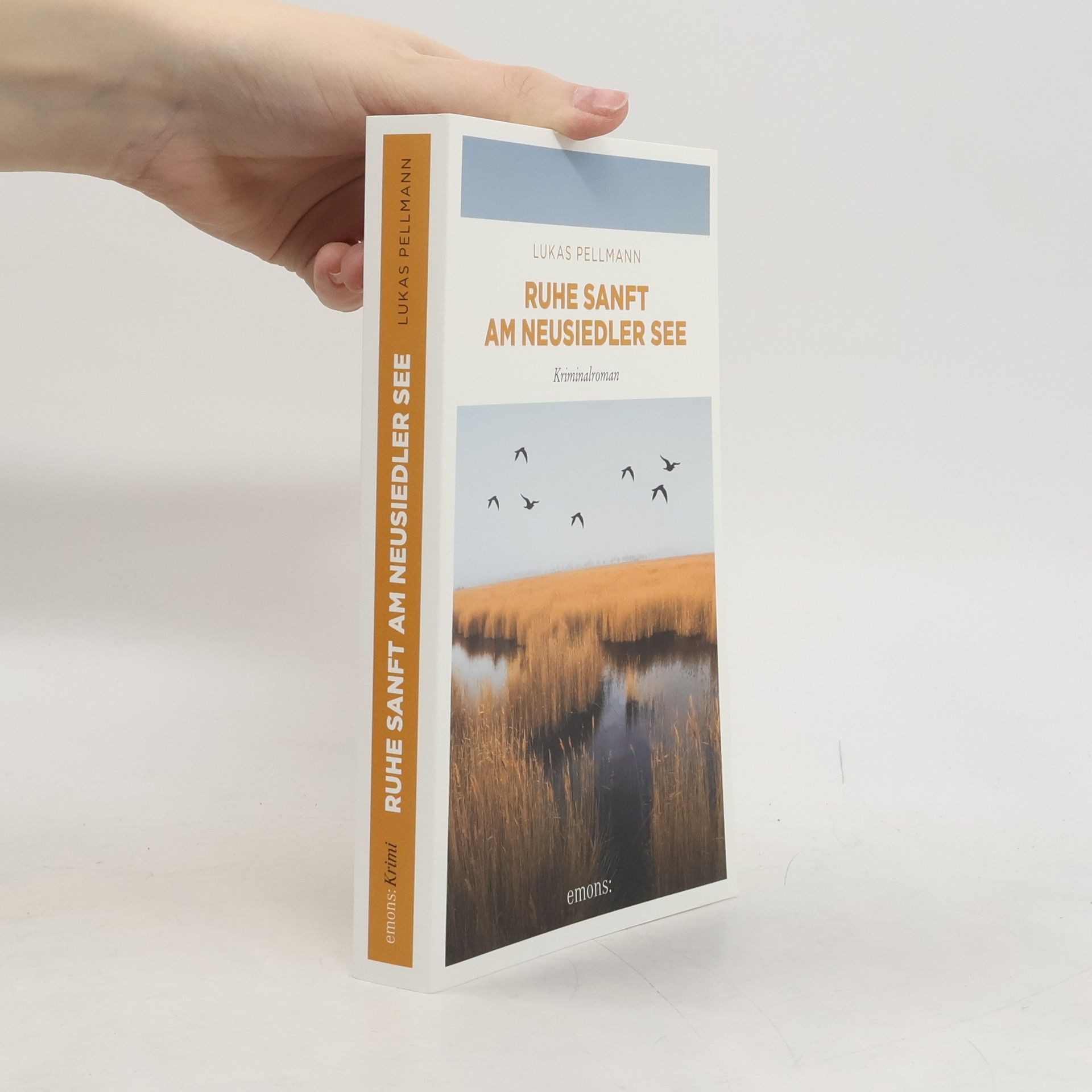 Lukas Pellmann Ruhe sanft am Neusiedler See. Kriminalroman
