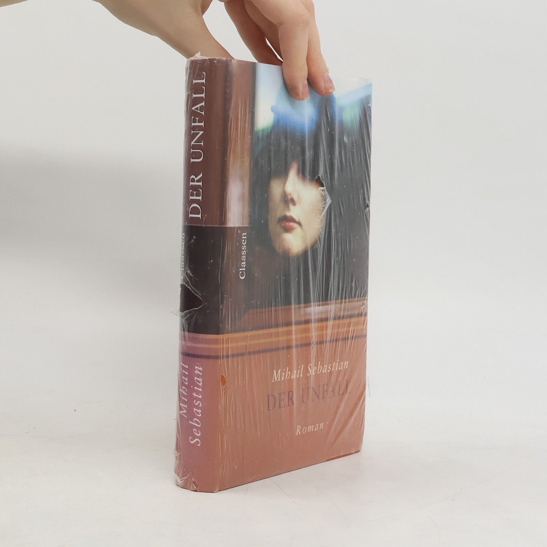 Sebastian-Mihail Ivanescu Der Unfall