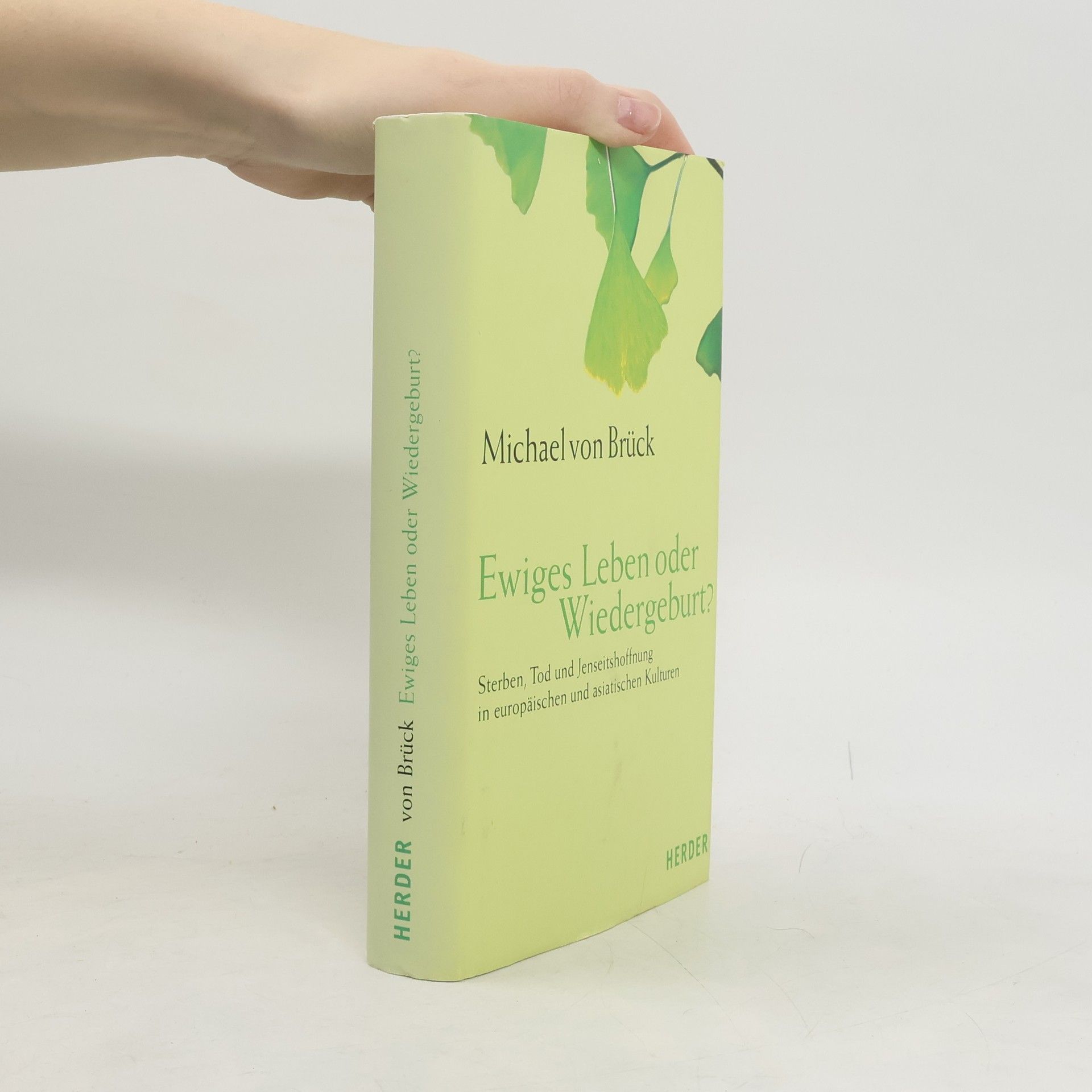 Michael Brück Ewiges Leben oder Wiedergeburt?