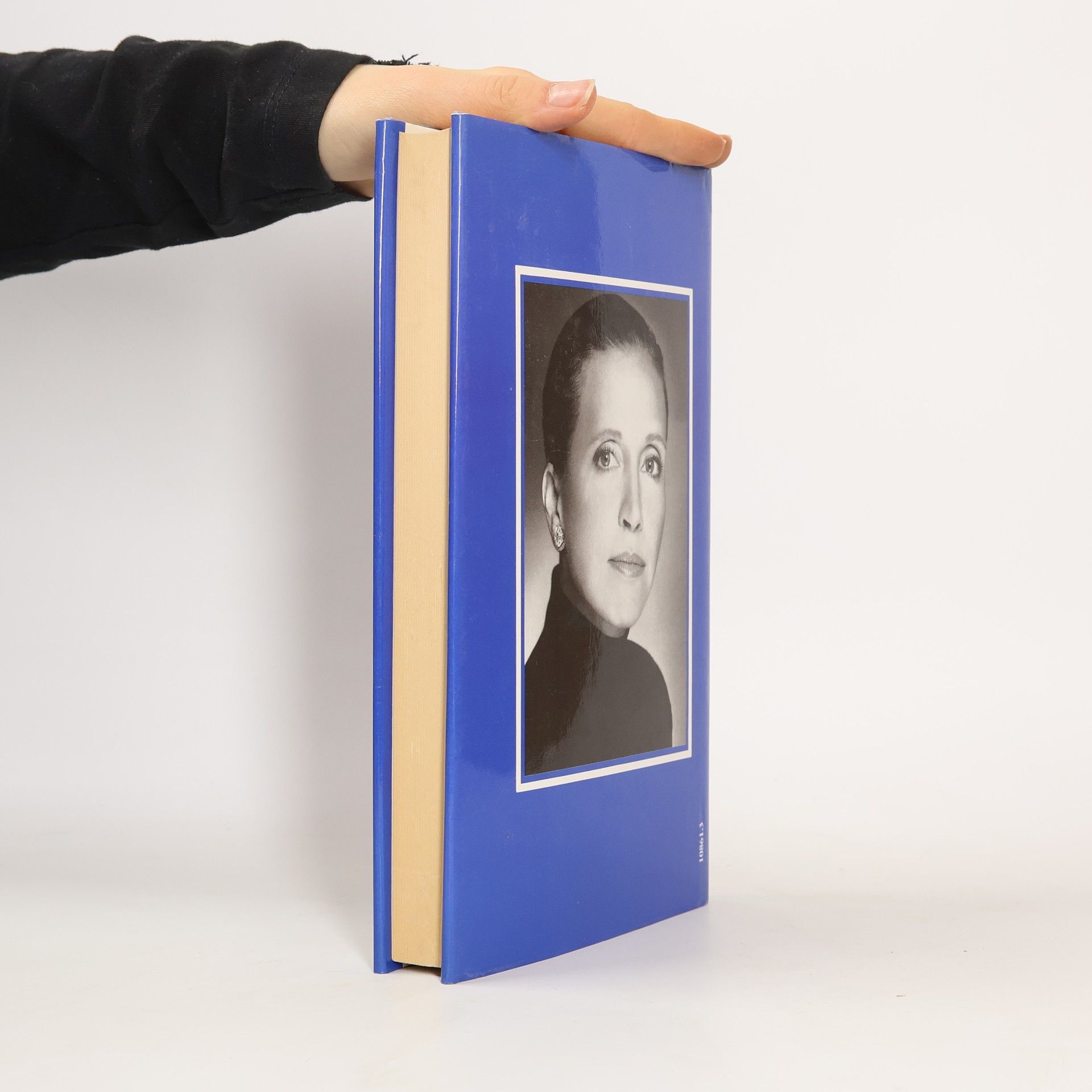 Danielle Steel Fulmini