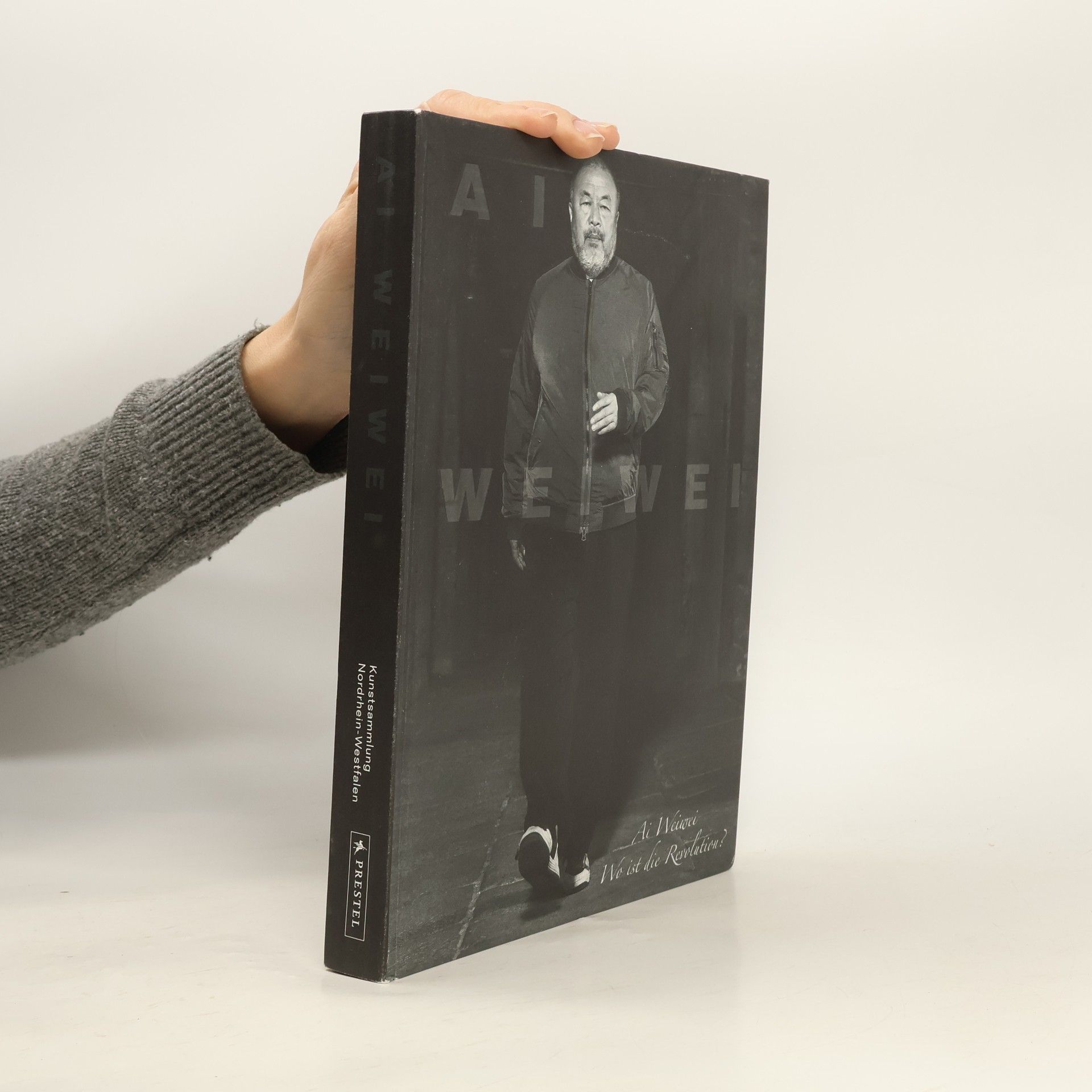 Kolektív autorov Ai Weiwei. Wo ist die Revolution?