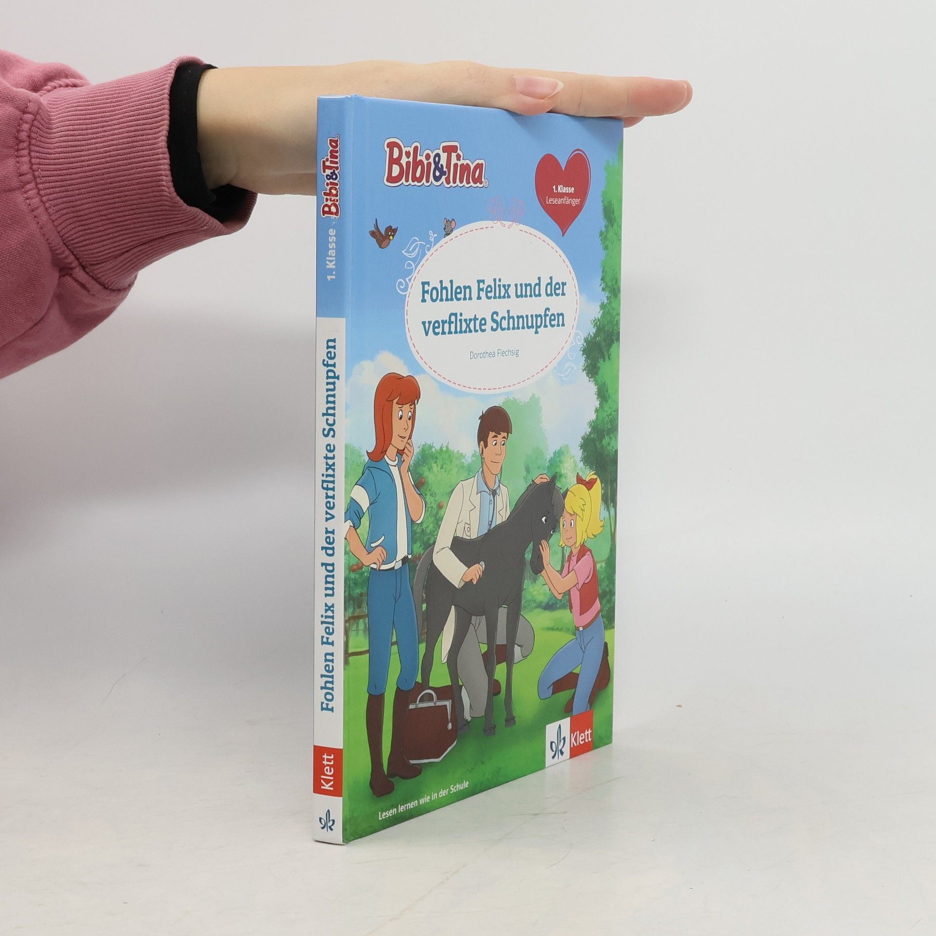 Dorothea Flechsig Bibi & Tina: Fohlen Felix und der verflixte Schnupfen