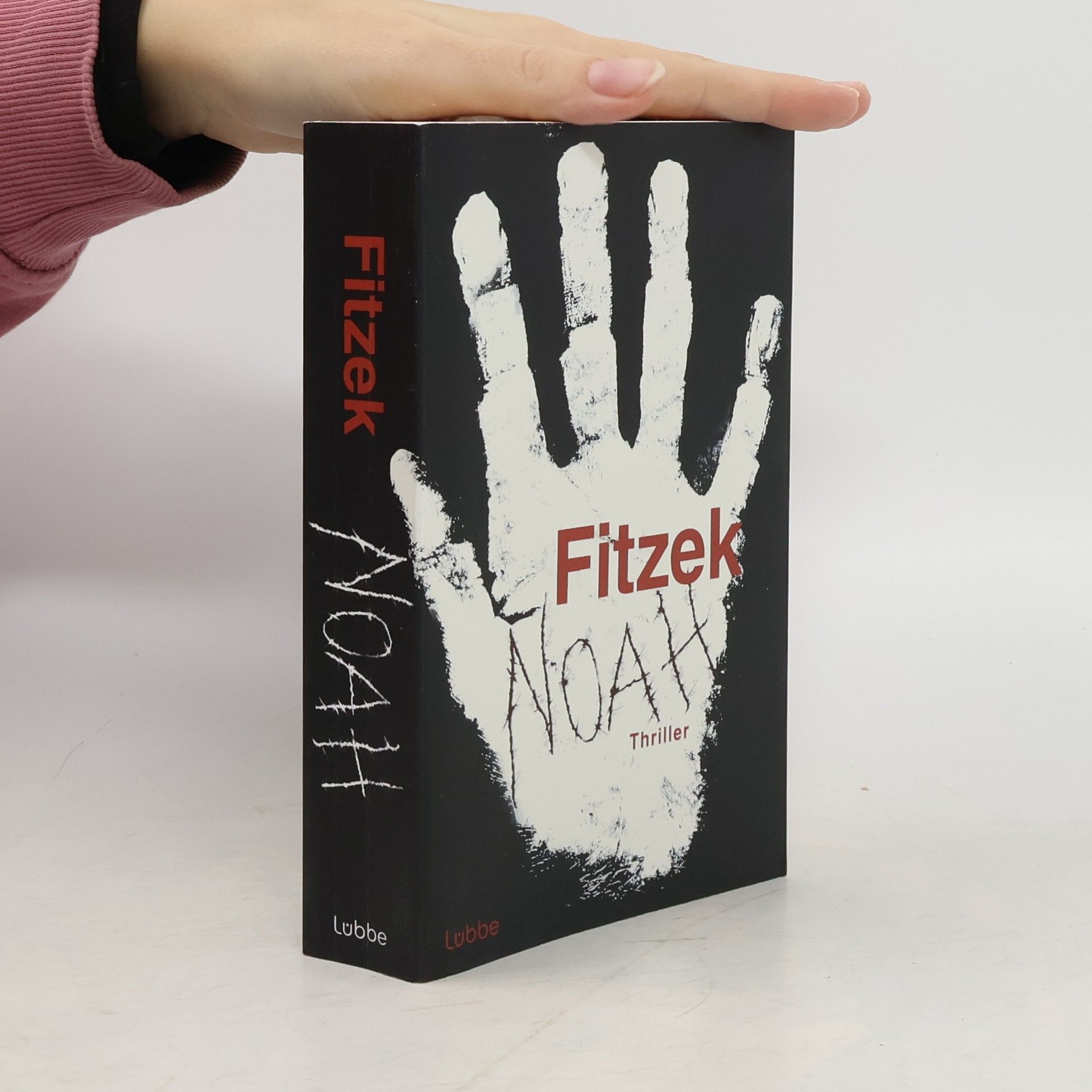 Sebastian Fitzek Noah