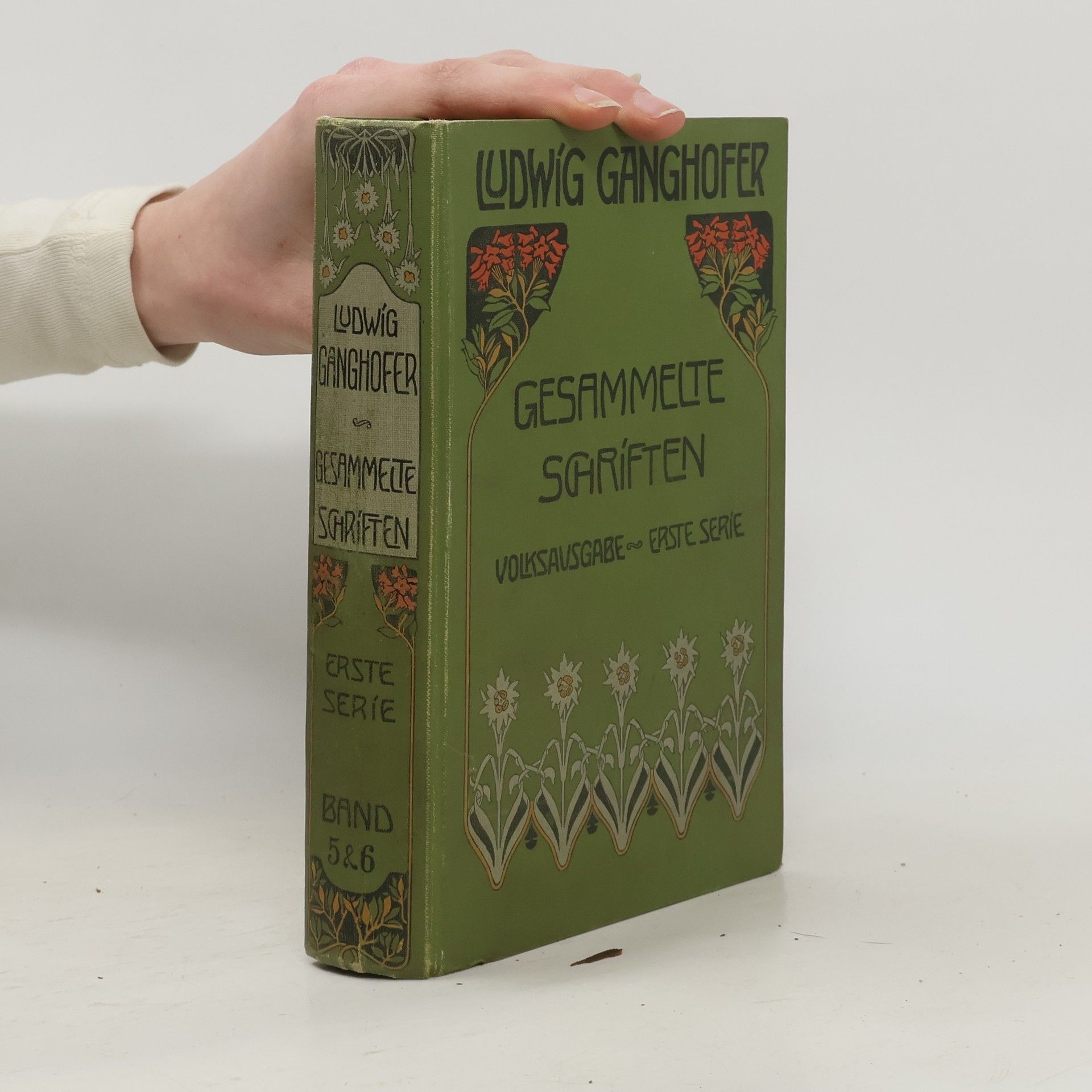 Ludwig Ganghofer Gesammelte Schriften 5 & 6