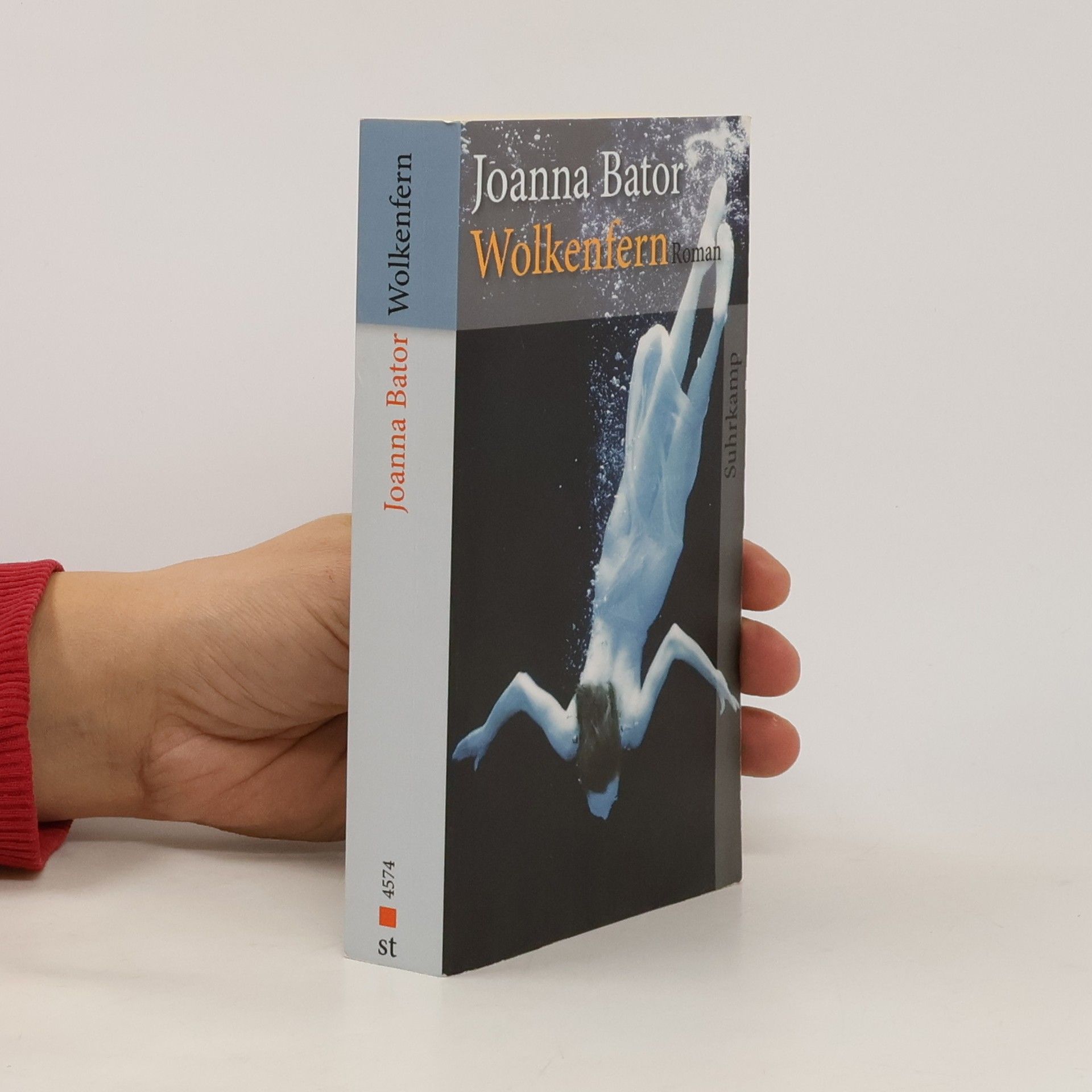 Joanna Bator Wolkenfern