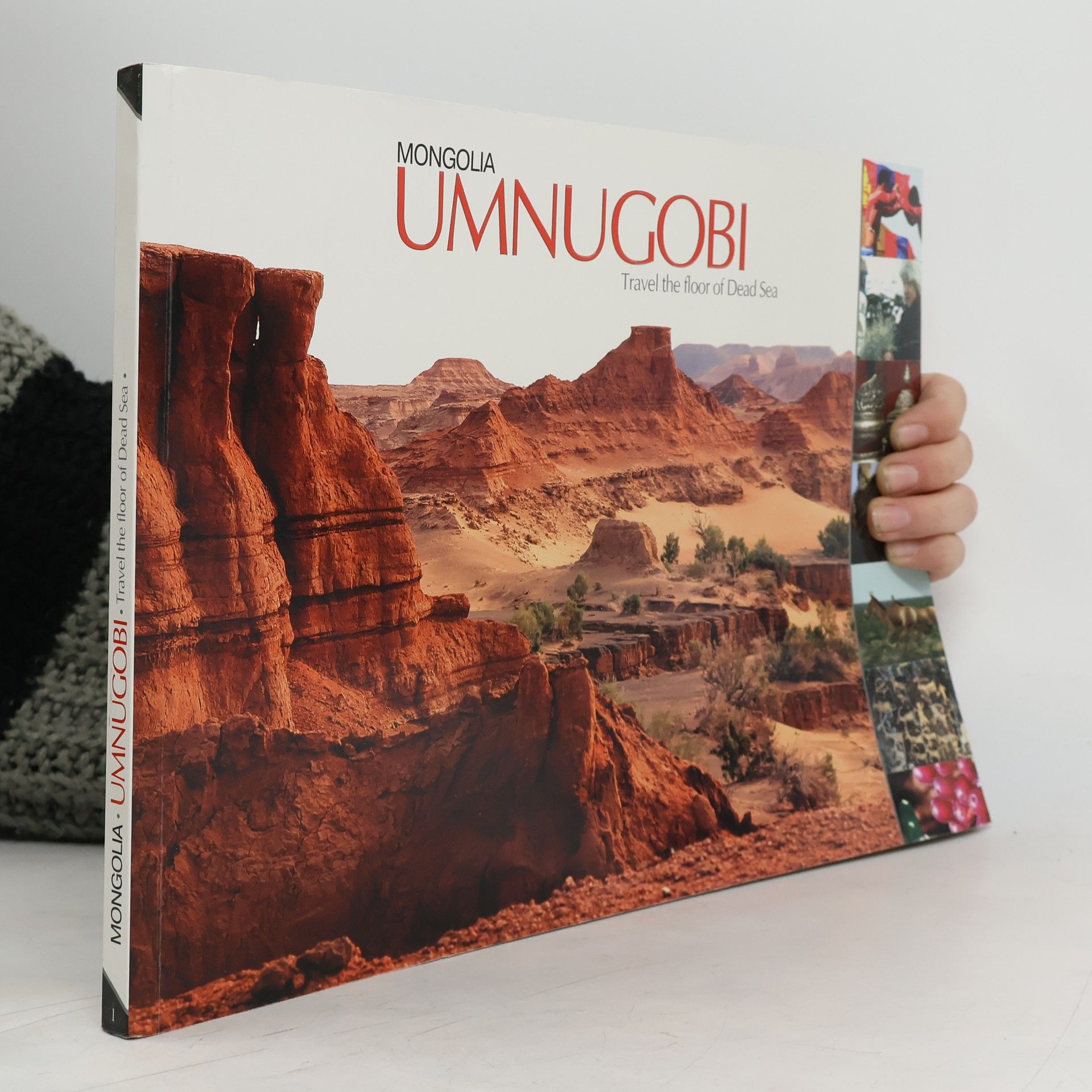 Collectif d'auteurs Mongolia Umnugobi. Travel The Floor of Dead Sea