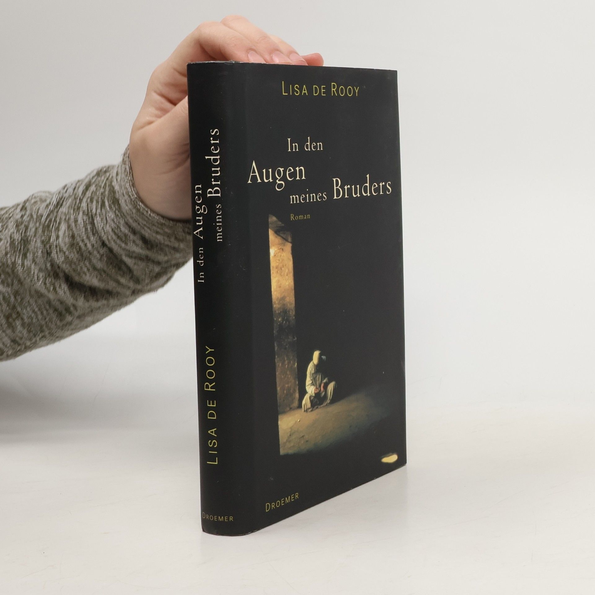 Lisa de Rooy In den Augen meines Bruders