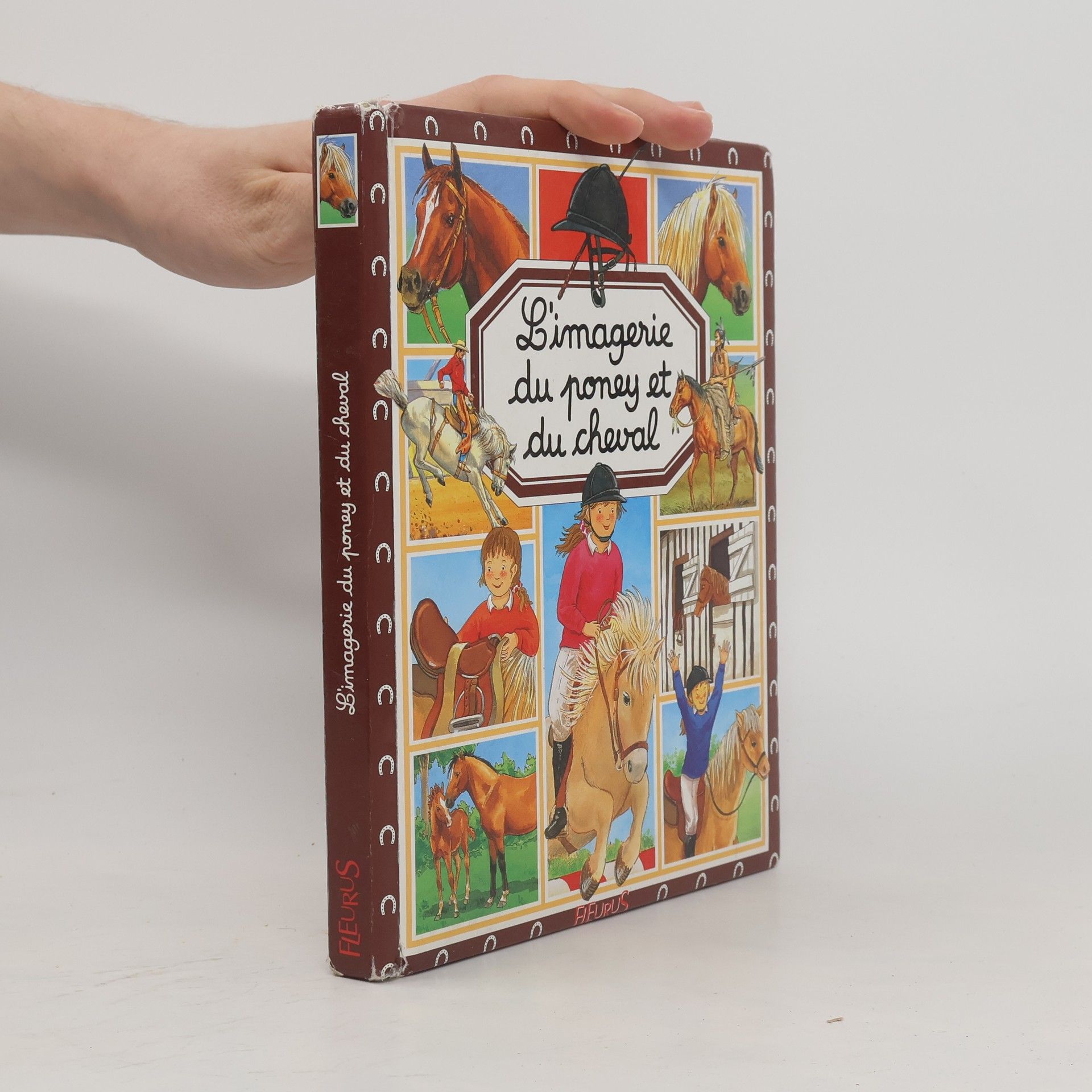 L'imagerie du poney et du cheval