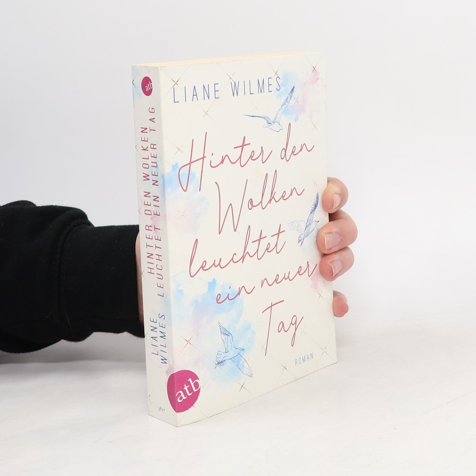 Liane Wilmes Hinter den Wolken leuchtet ein neuer Tag