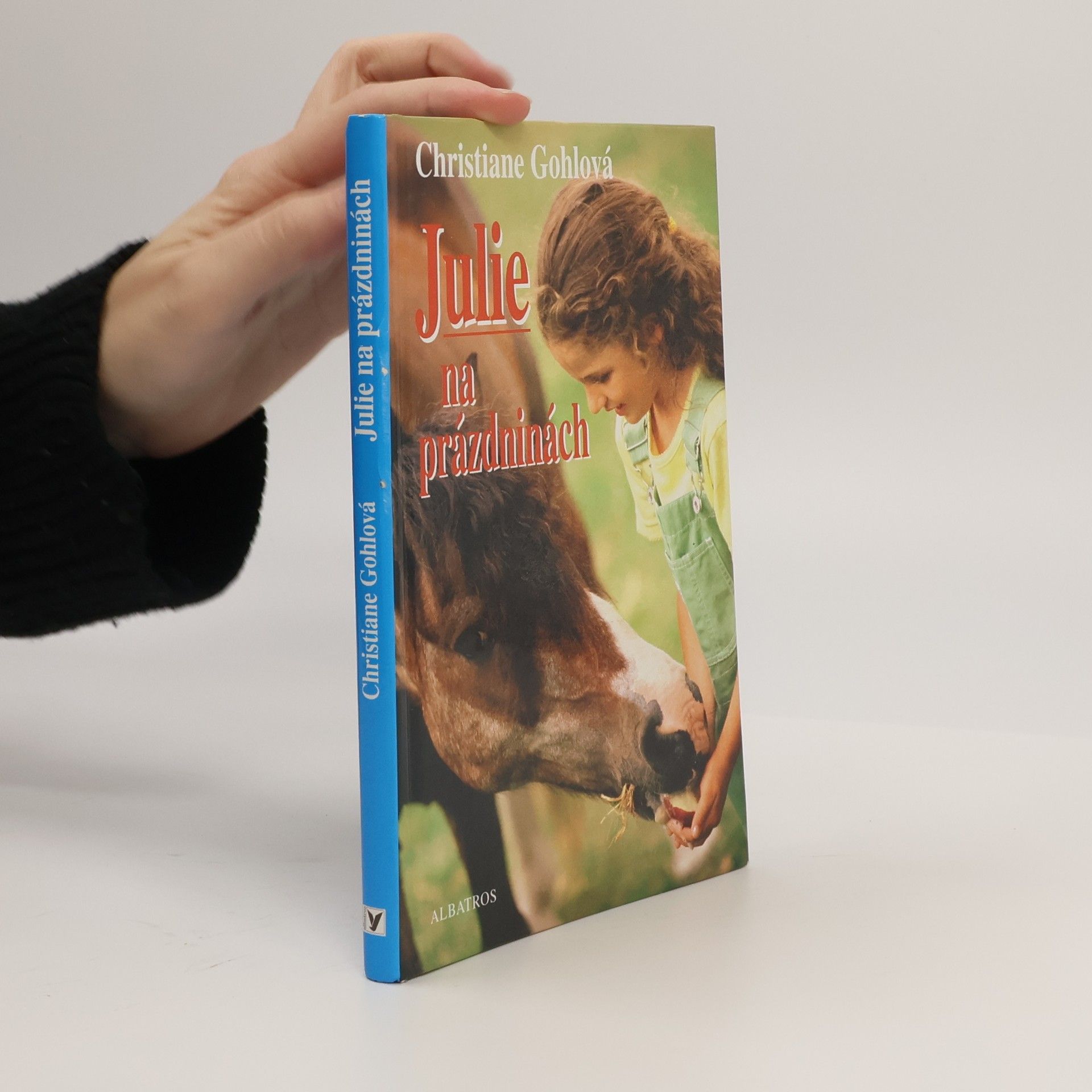 Christiane Gohl Julie na prázdninách