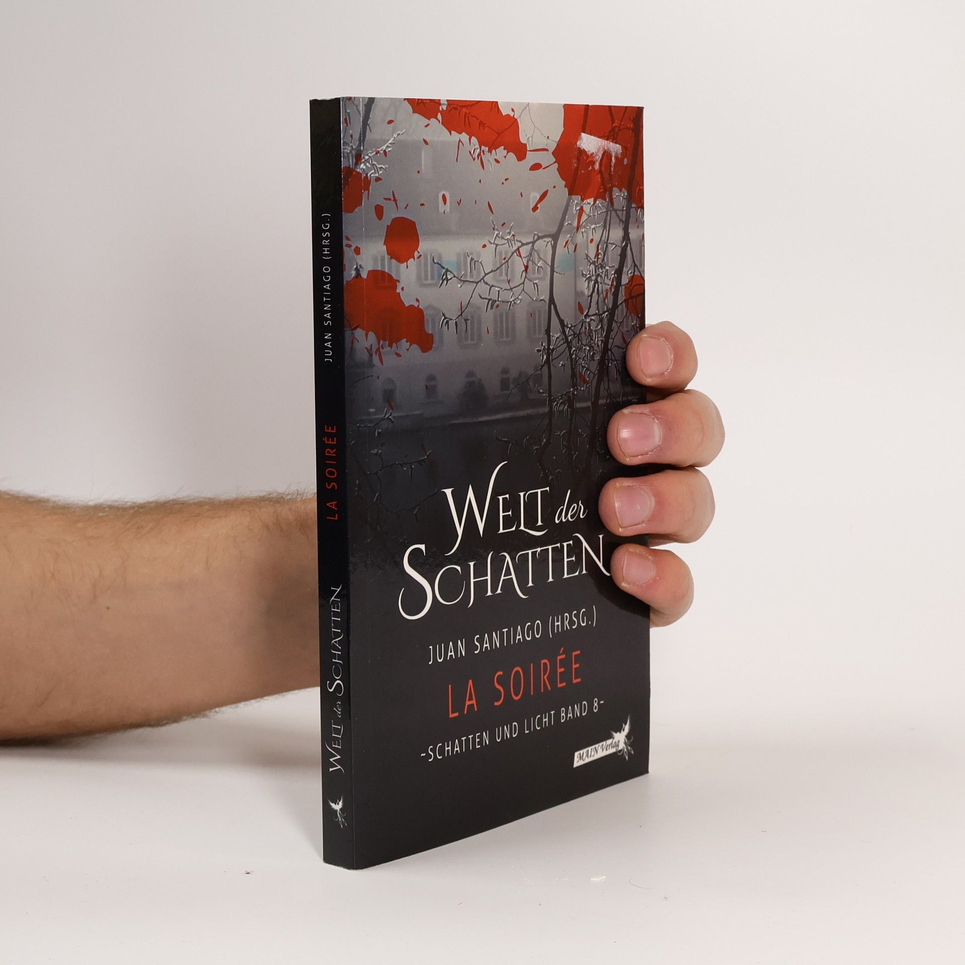 Juan Santiago Schatten und Licht - 8: La Soirée