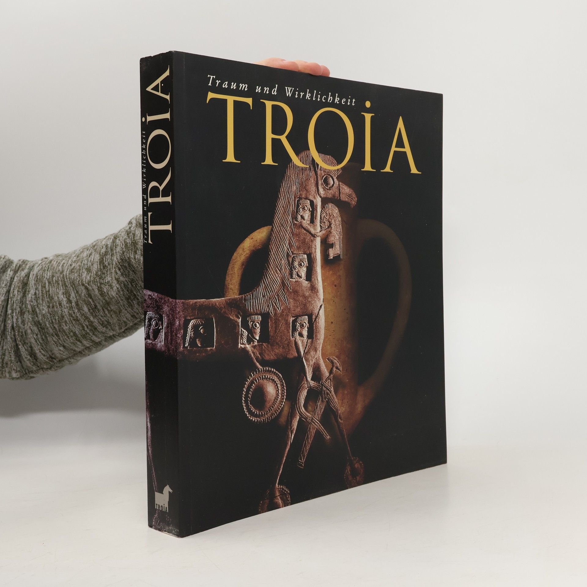 Kolektiv autorů Troia : Traum und wirklichkeit