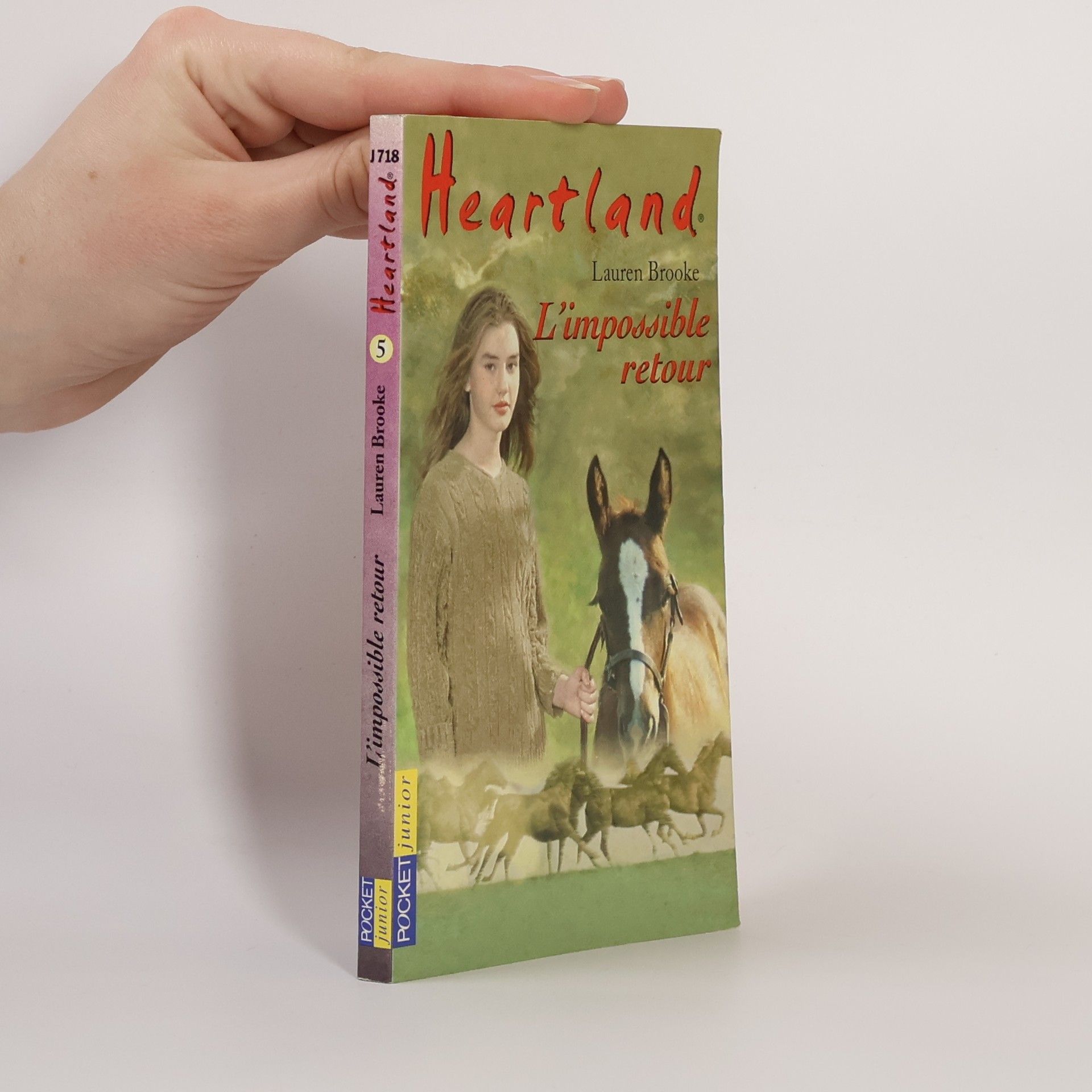 Lauren Brooke Heartland - 5: L'impossible retour