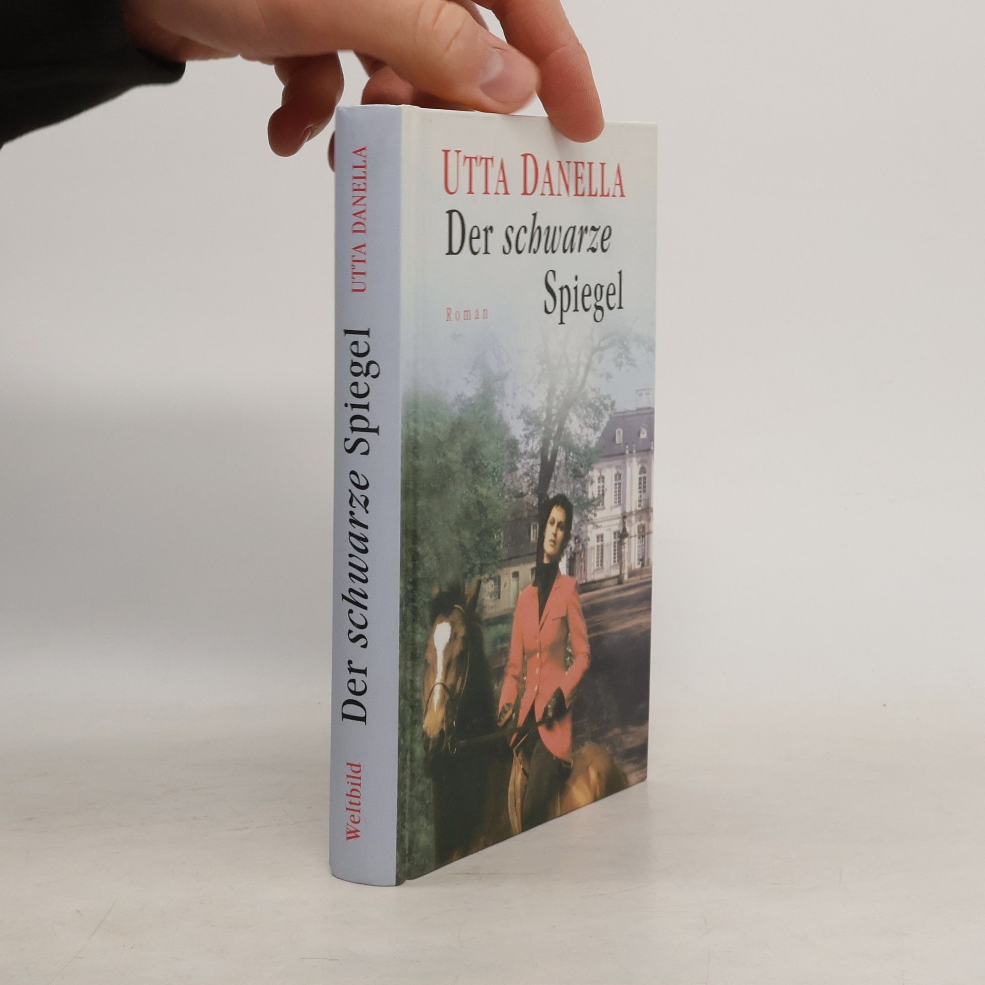 Utta Danella Der schwarze Spiegel