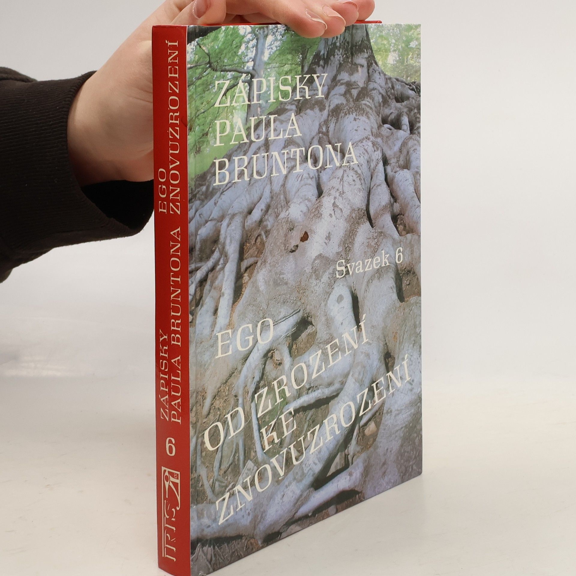 Paul Brunton Ego. Od zrození ke znovuzrození. Zápisky Paula Bruntona. (Svazek 6)