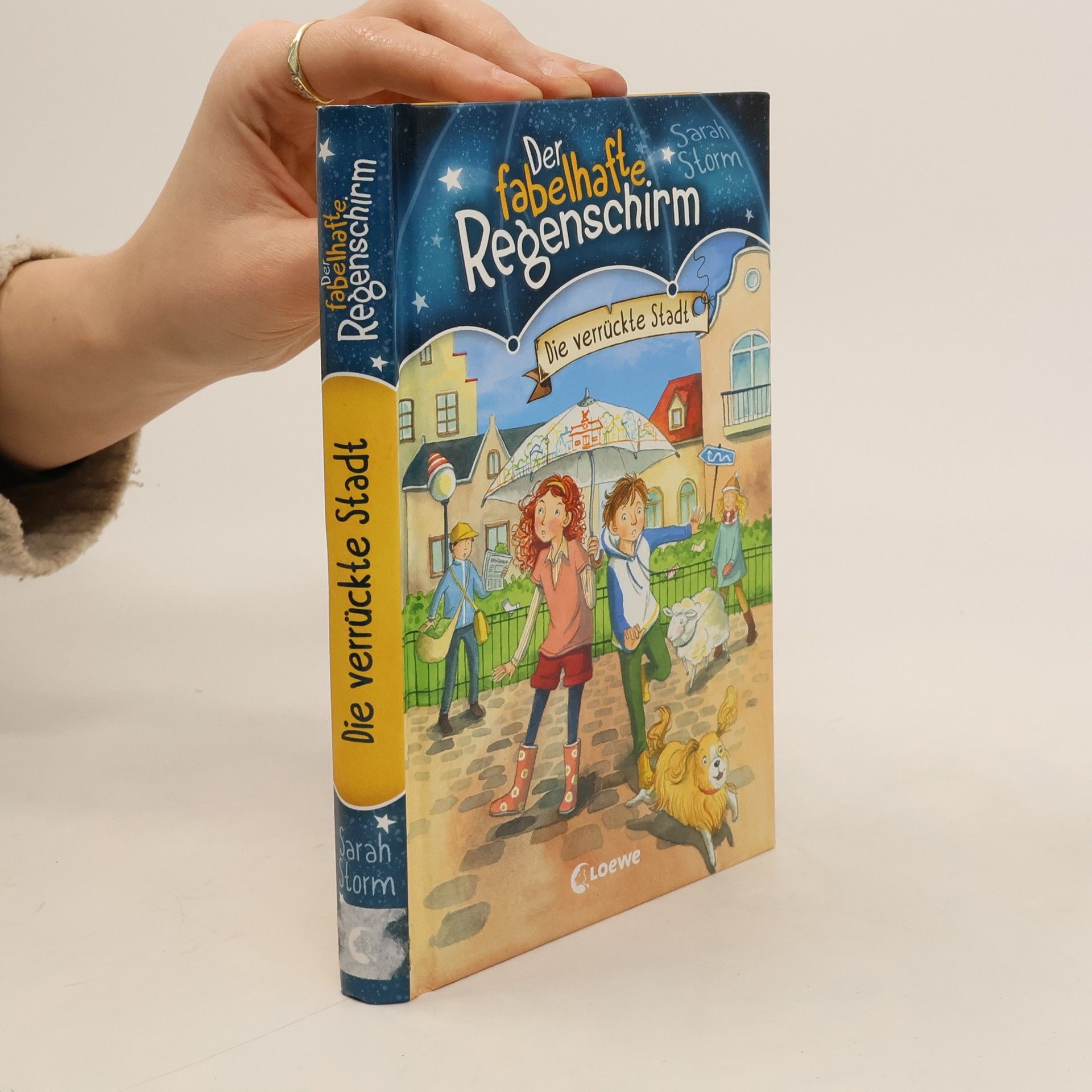 Sarah Storm Die verrückte Stadt