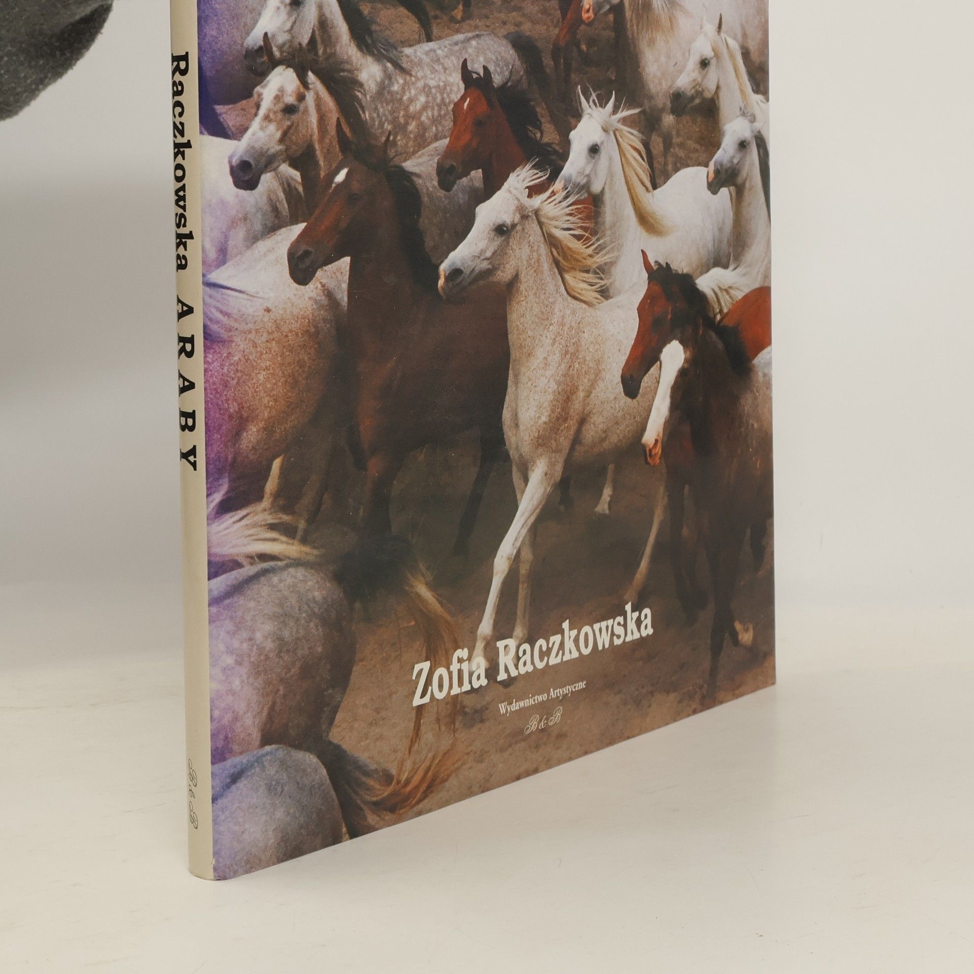 Zofia Raczkowska Araby