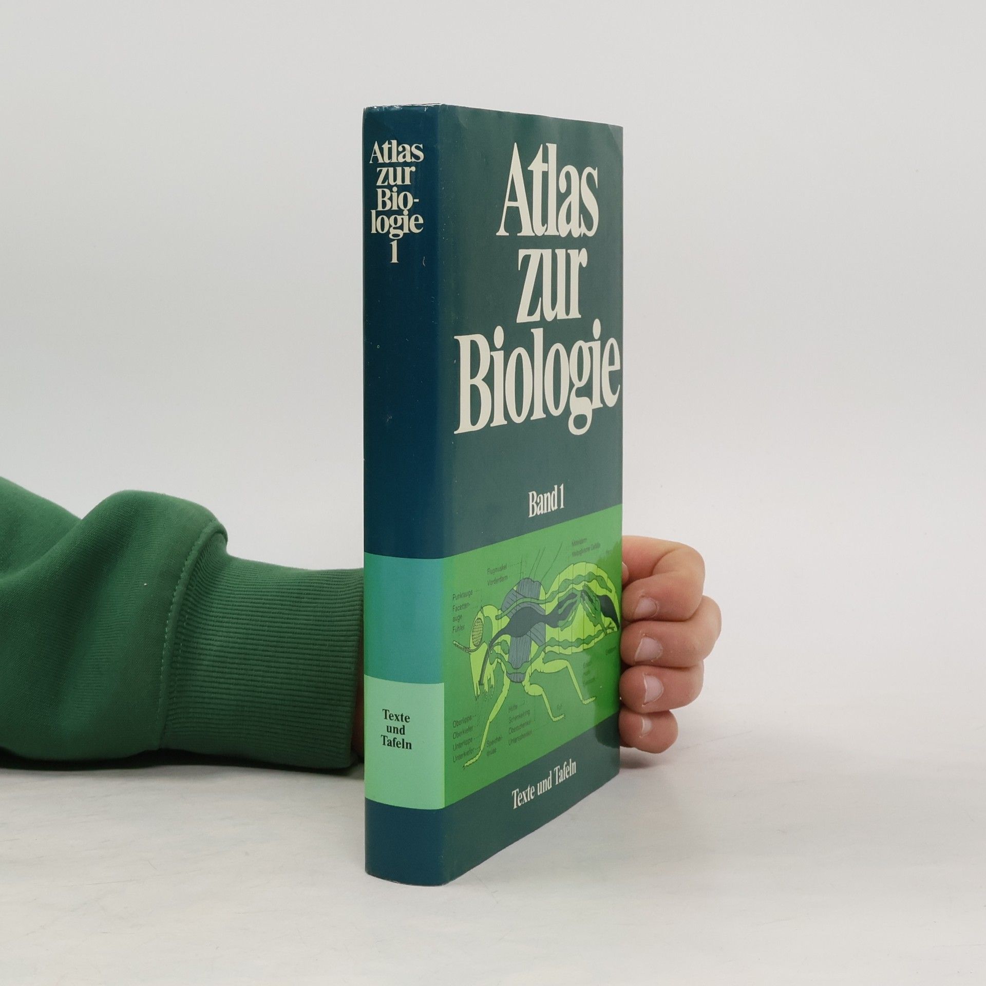 Autorenkollektiv Atlas zur Biologie I