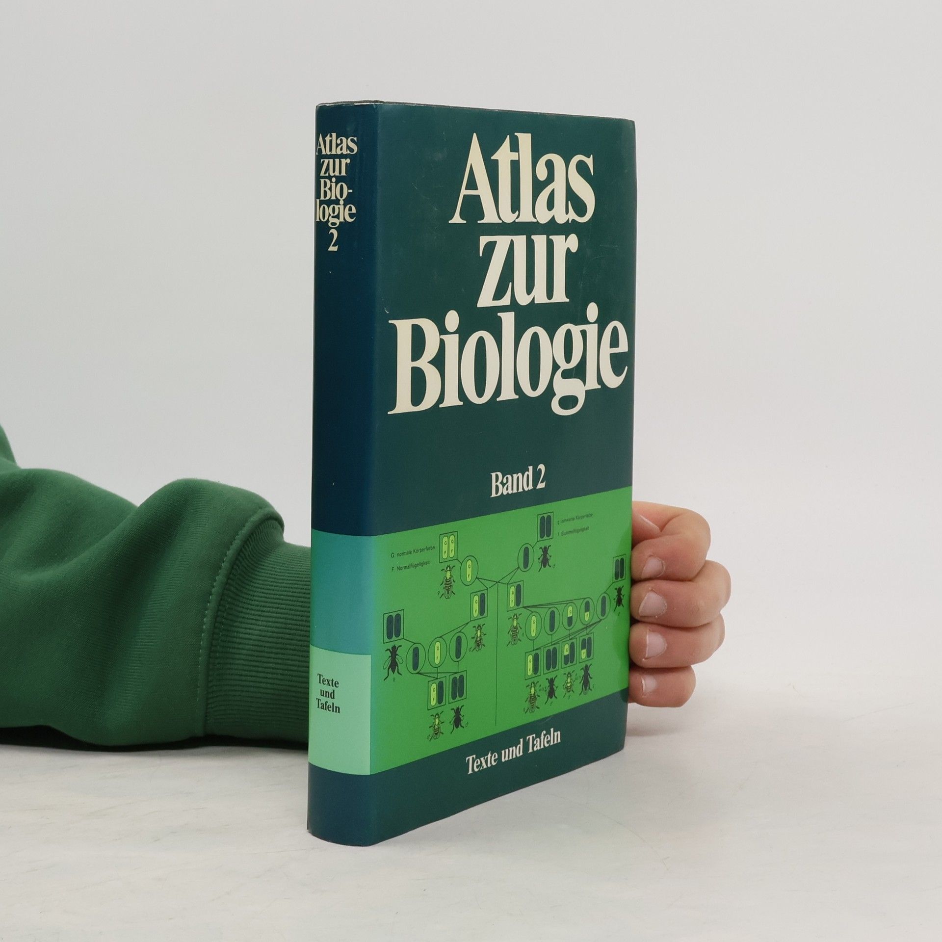 Collectif d'auteurs Atlas zur Biologie 2