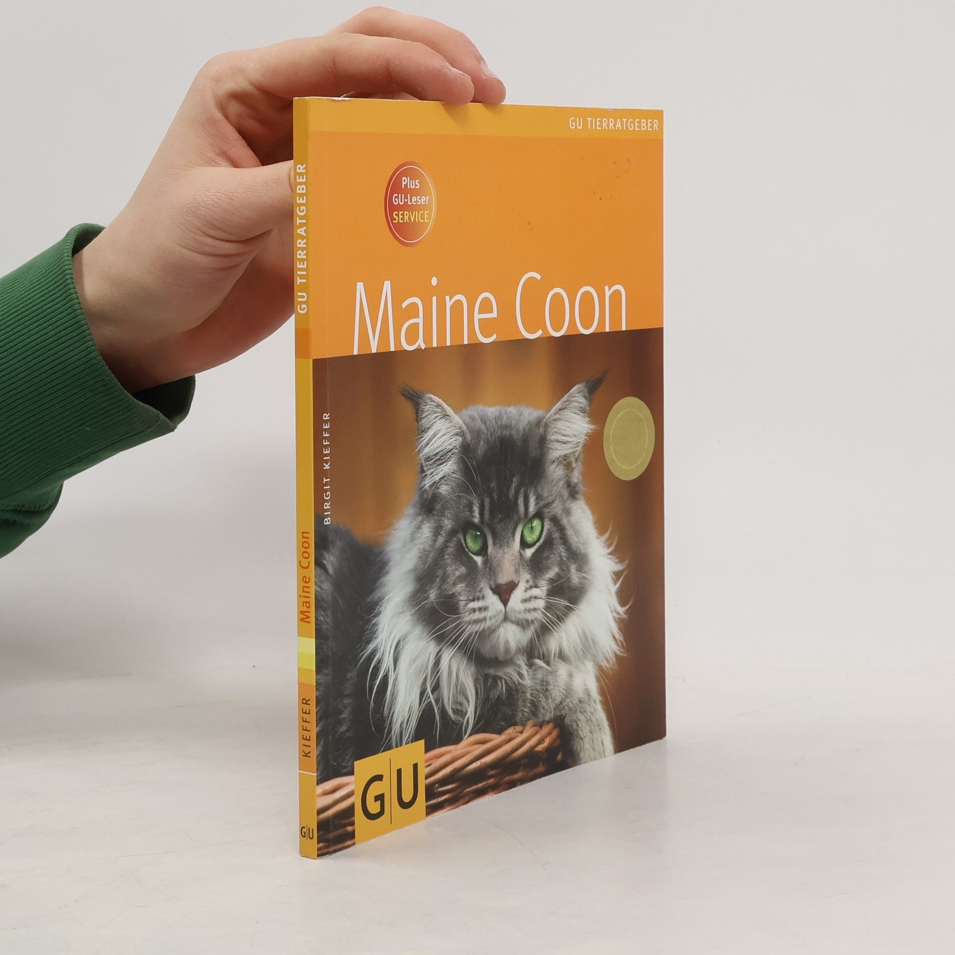 Birgit Kieffer Maine Coon